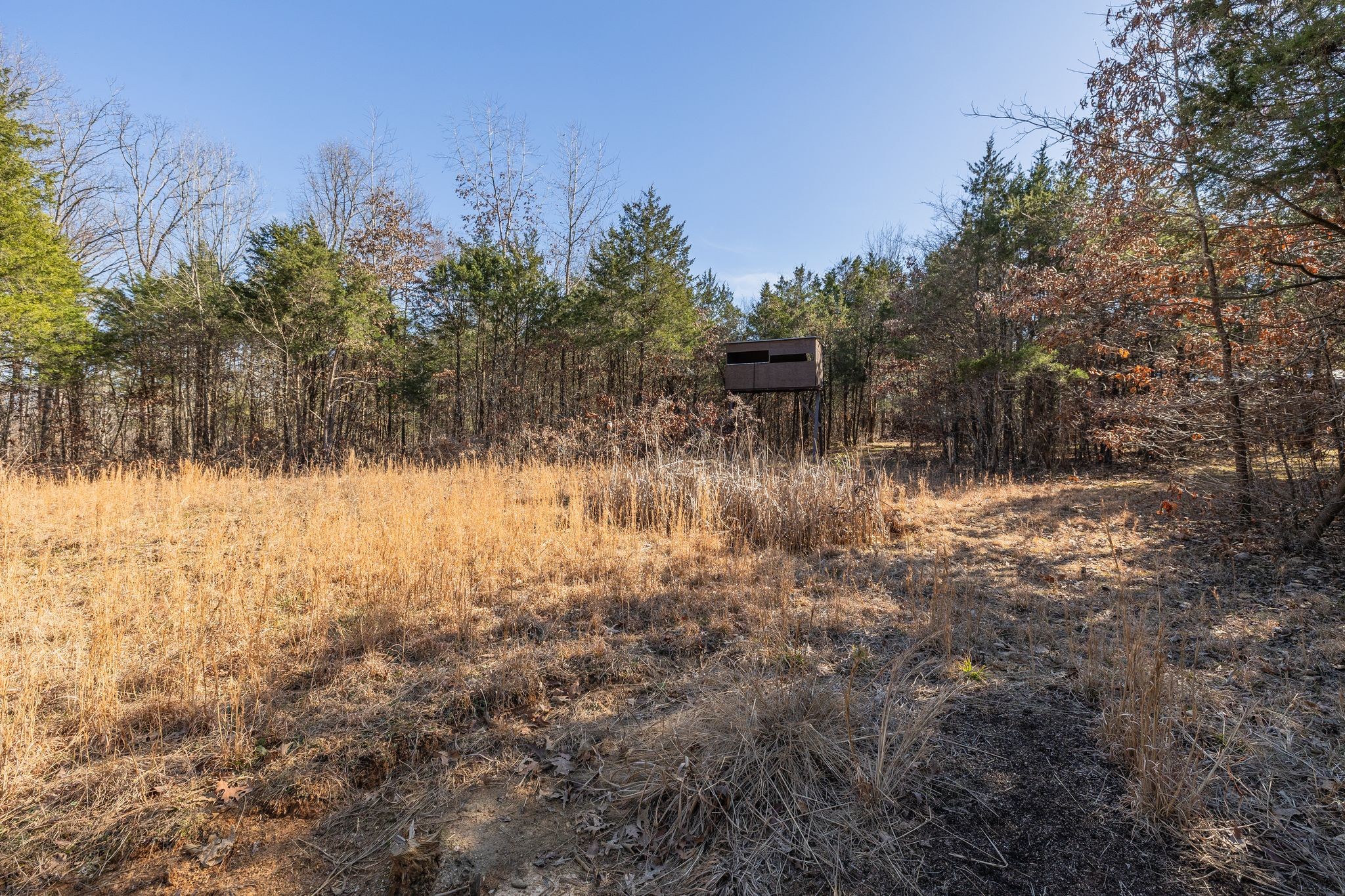 213 Scales Rd