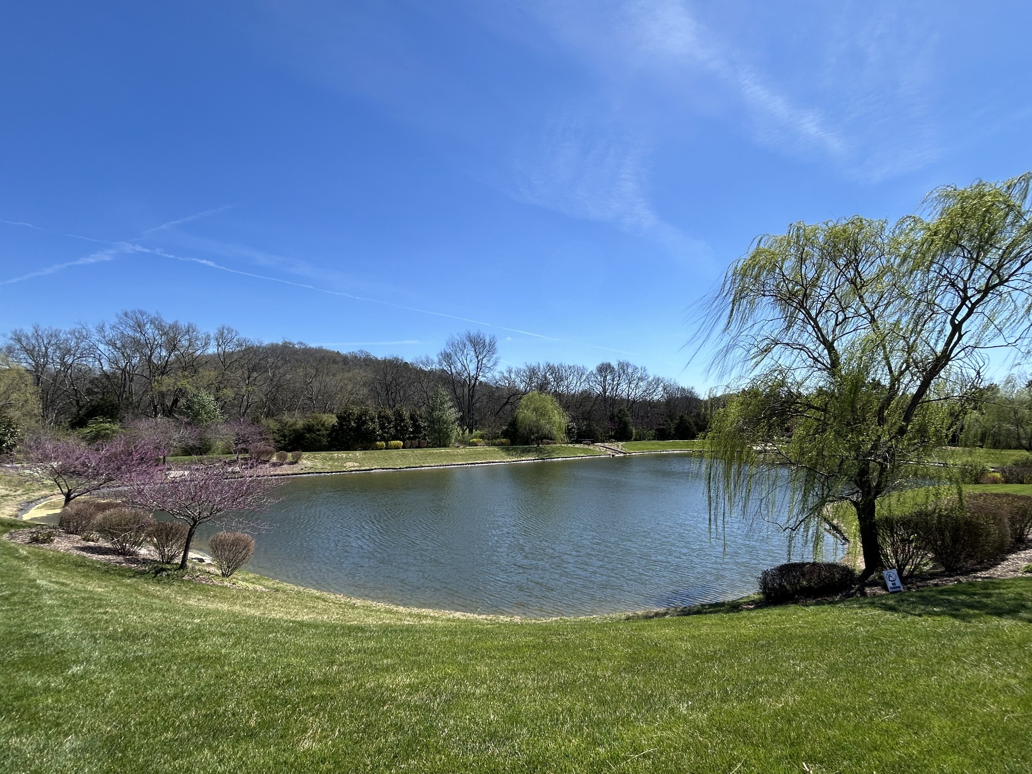 165 Alpine Ct