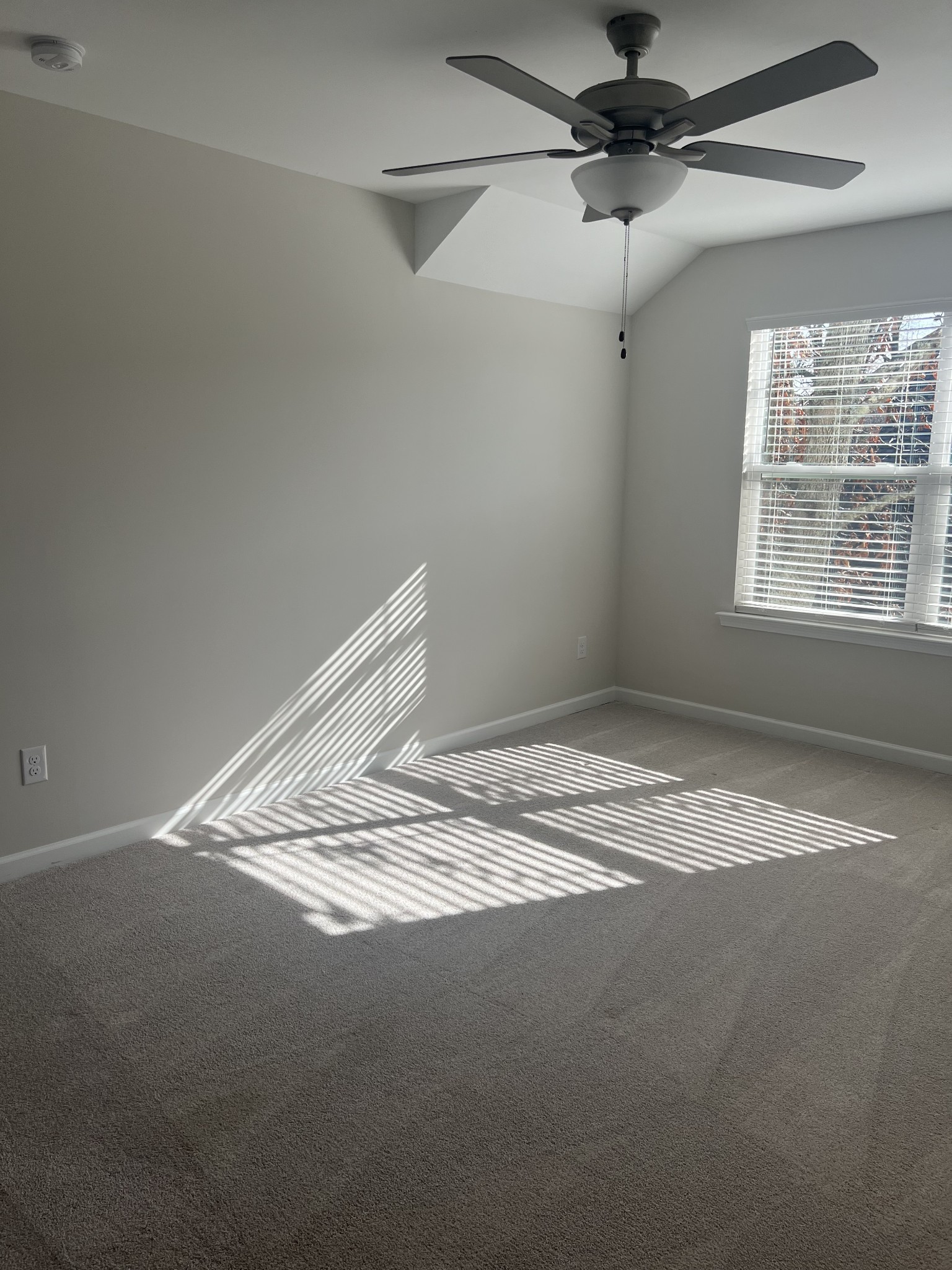 7503 Fernvale Springs Way