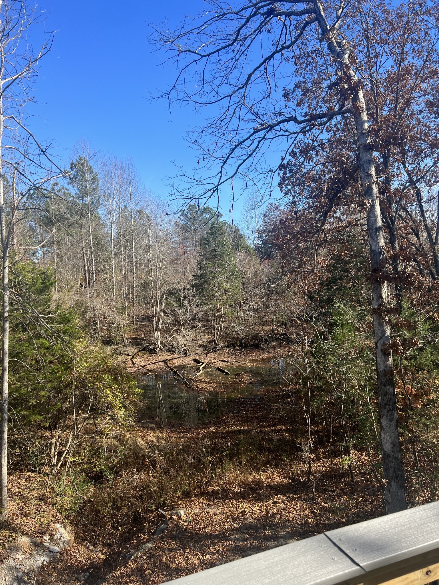 7503 Fernvale Springs Way