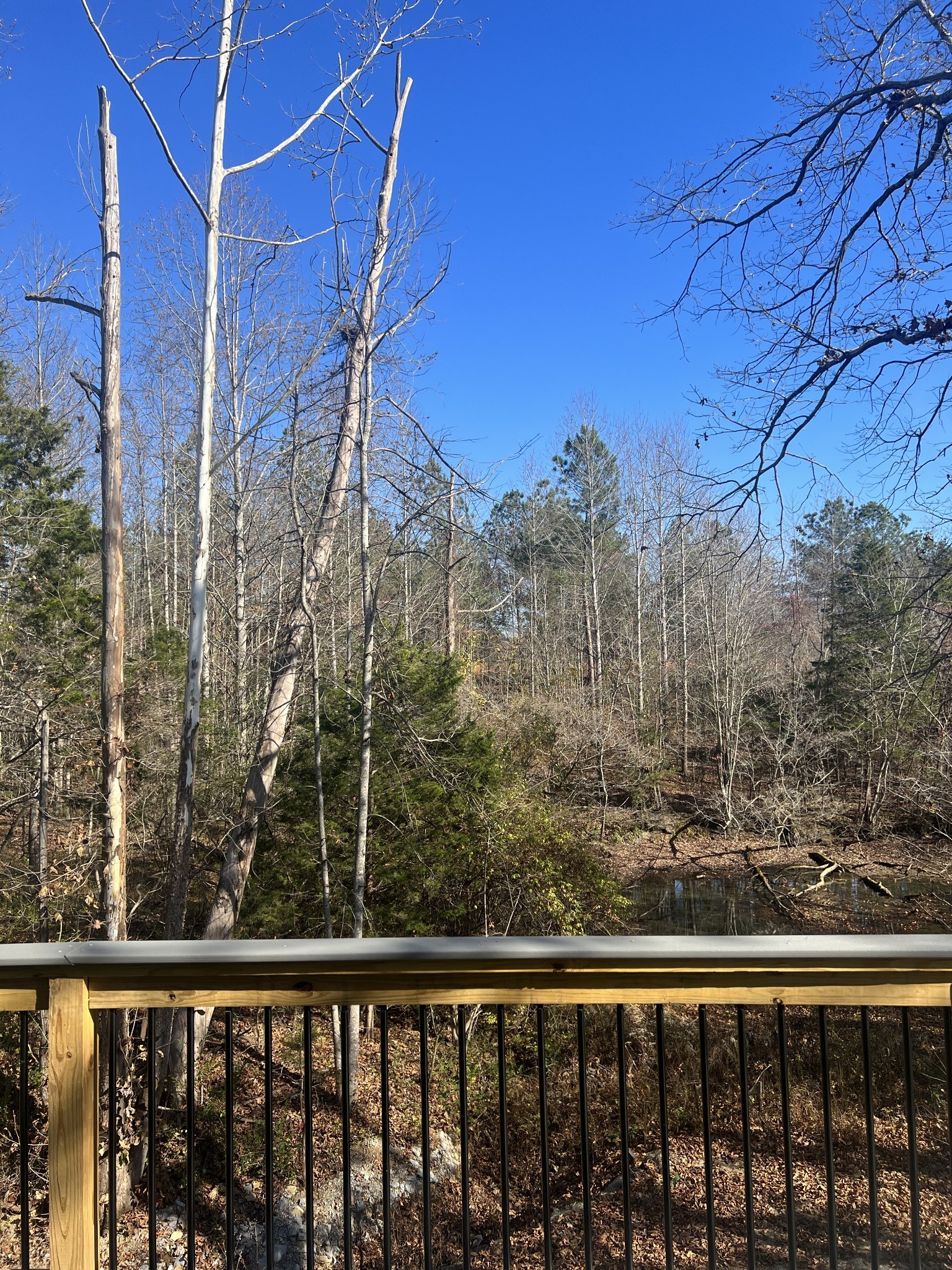 7503 Fernvale Springs Way