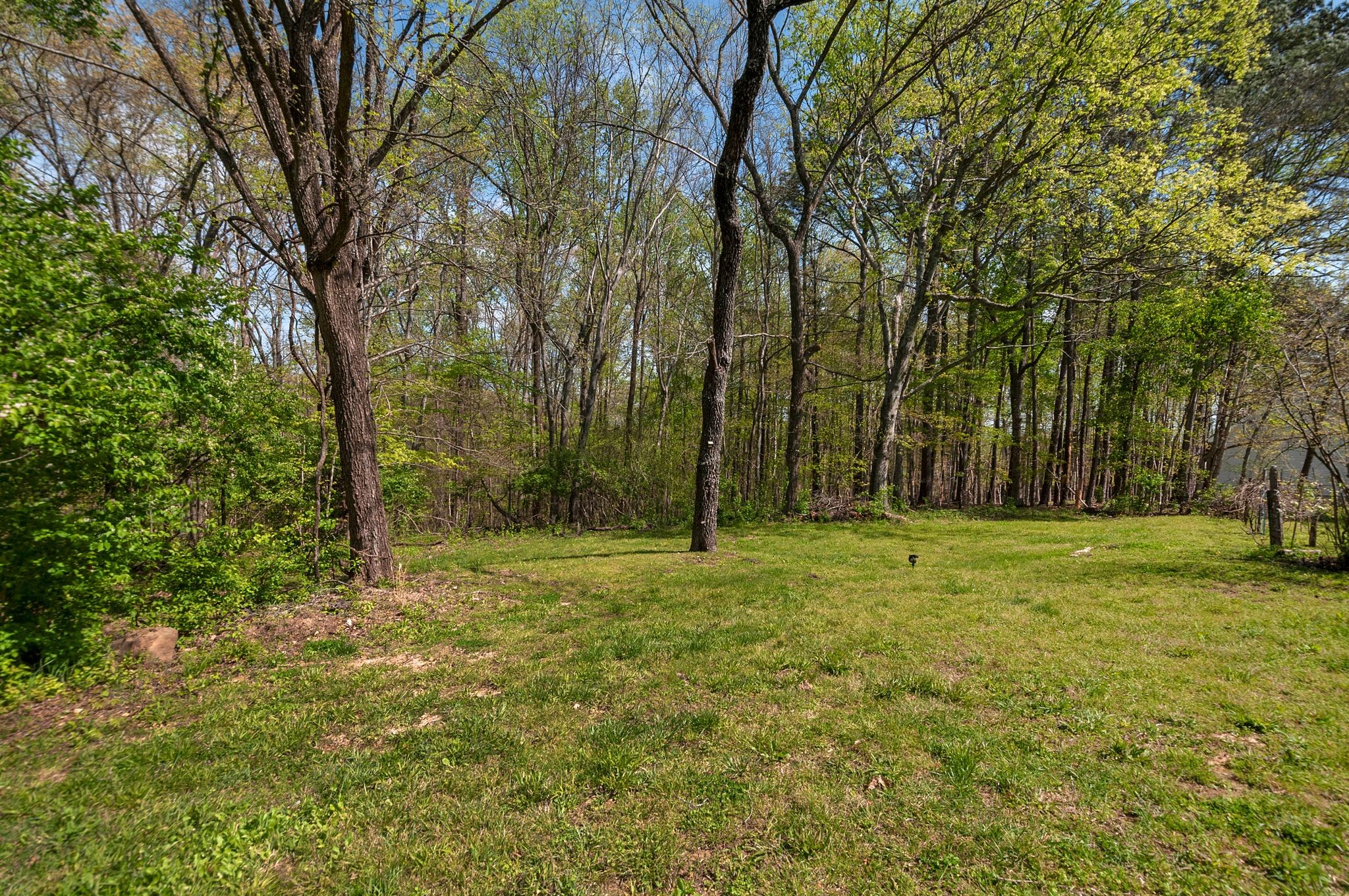 1681 Taylor Town Rd
