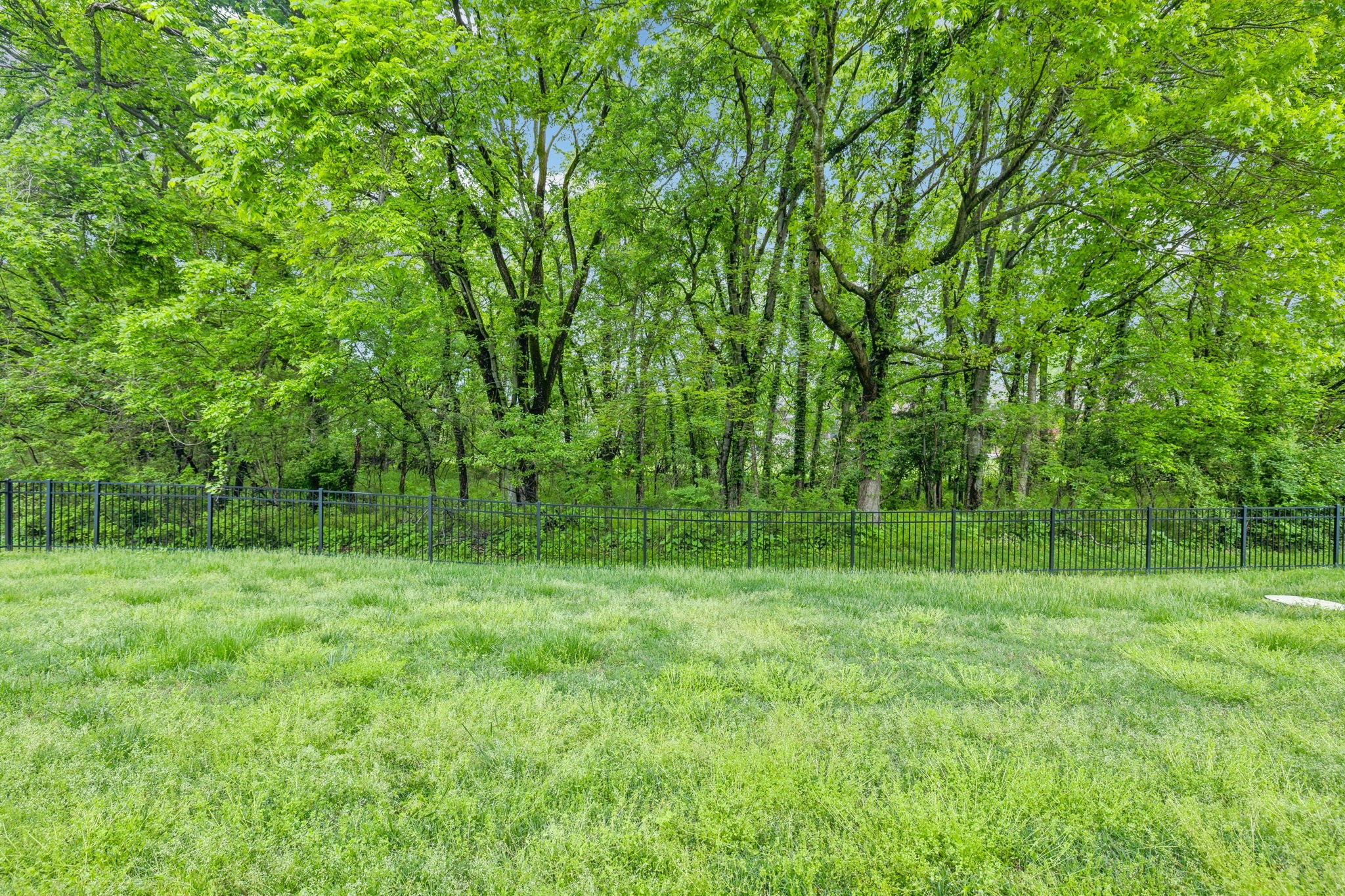 1204 Old Spring Trail