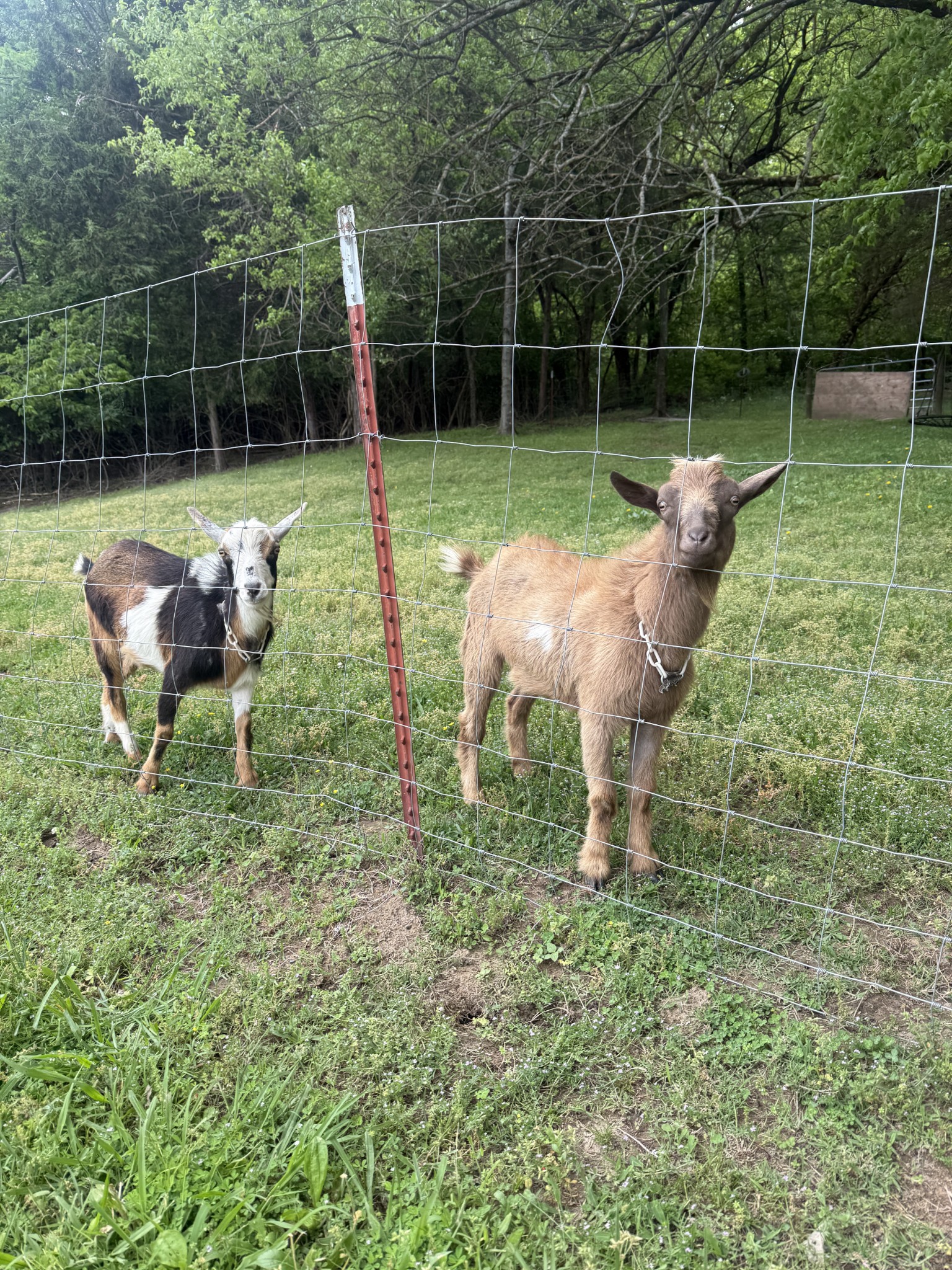 3055 Carters Creek Pike