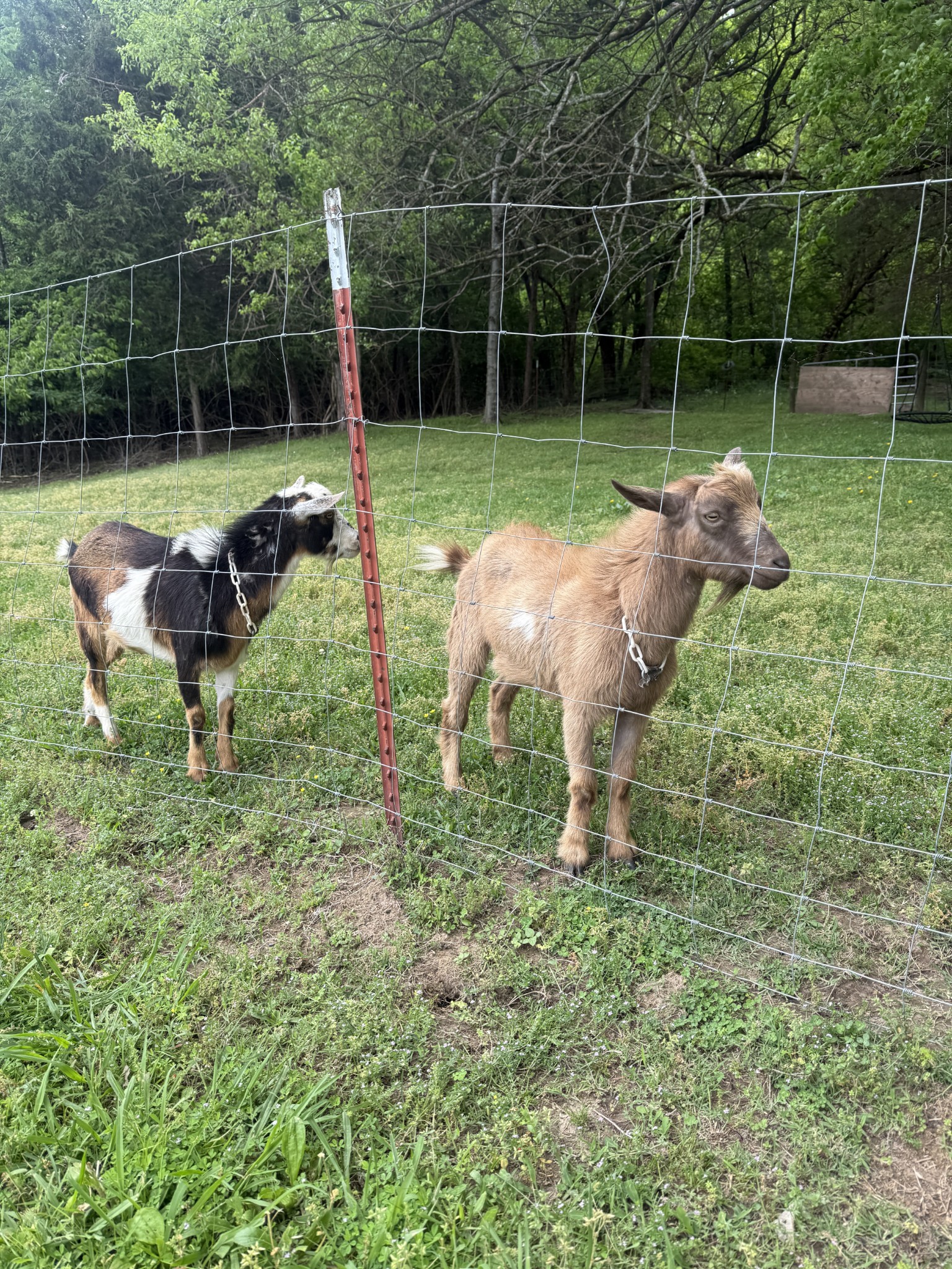 3055 Carters Creek Pike