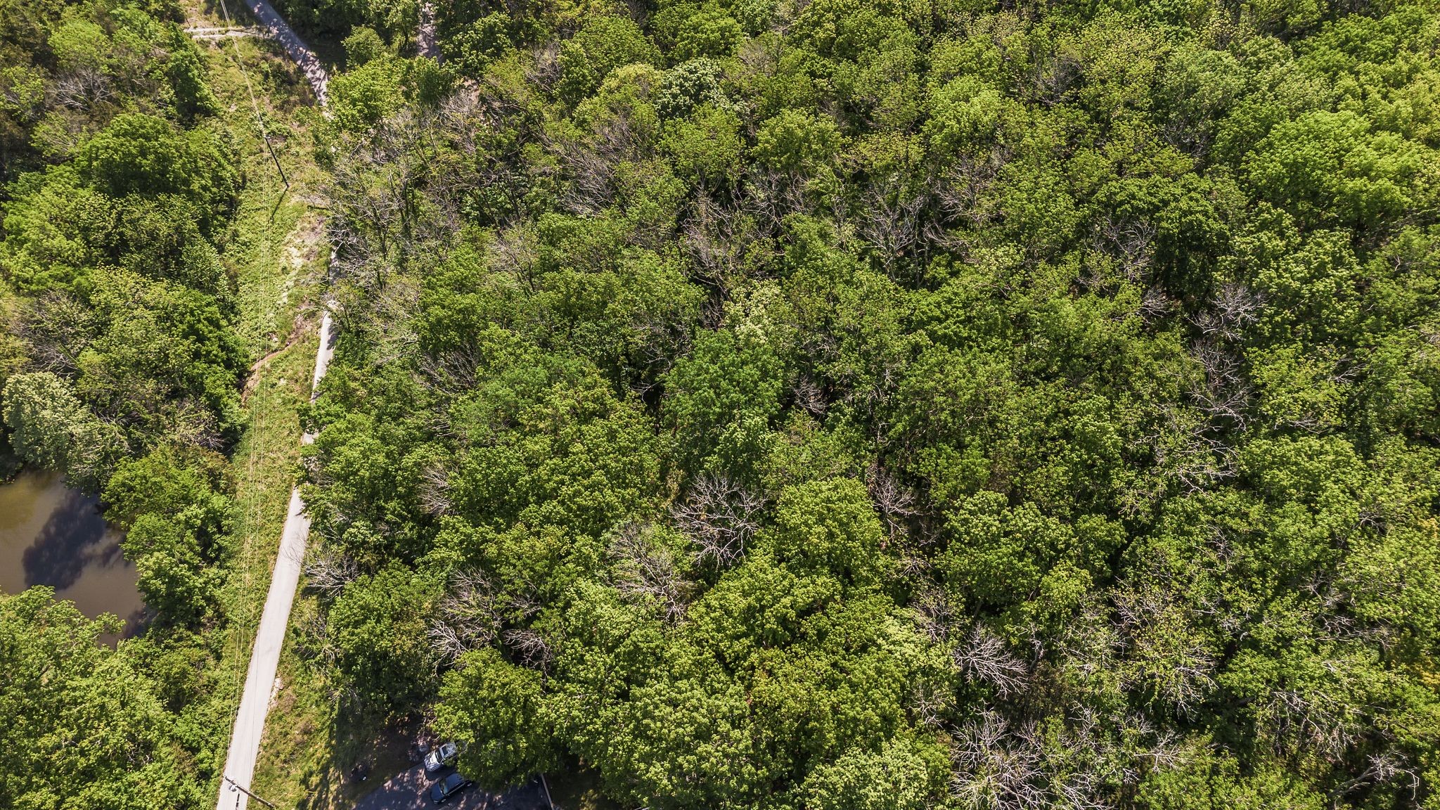 1780 Warren Hollow Rd