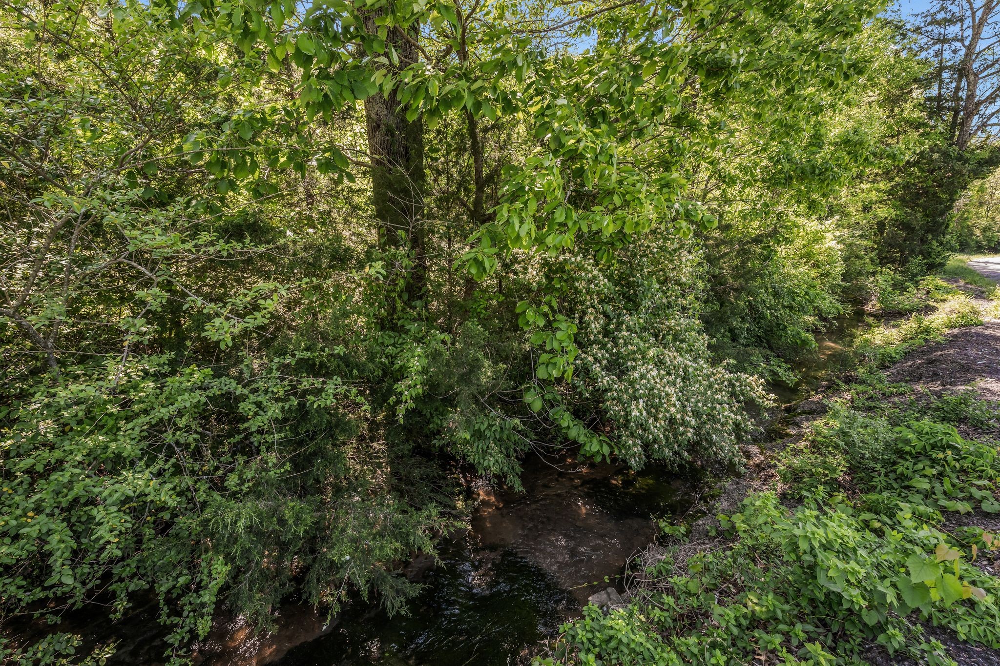 1780 Warren Hollow Rd