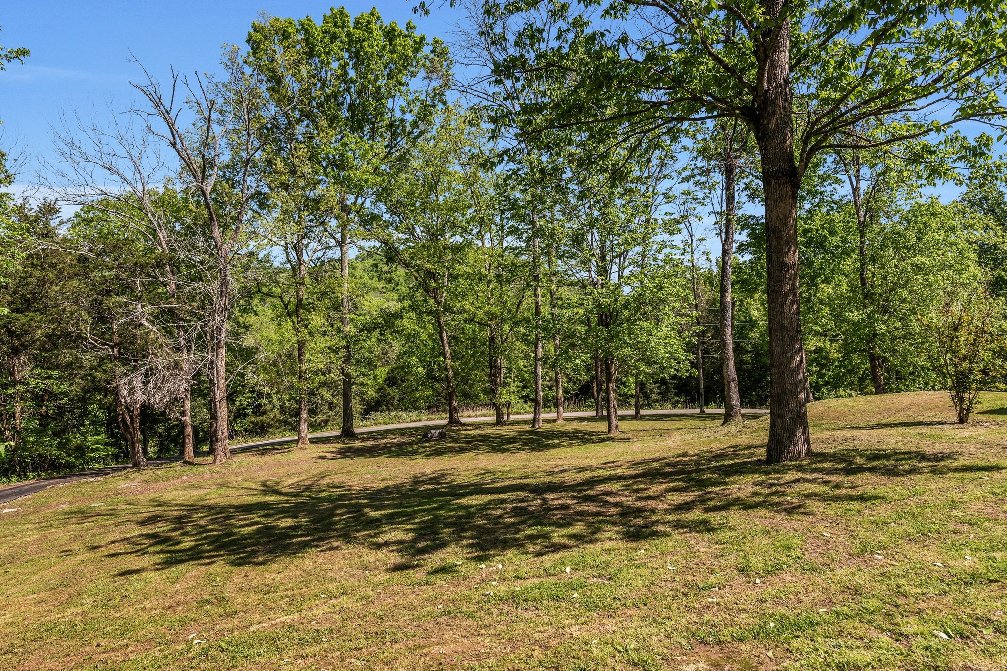 1780 Warren Hollow Rd