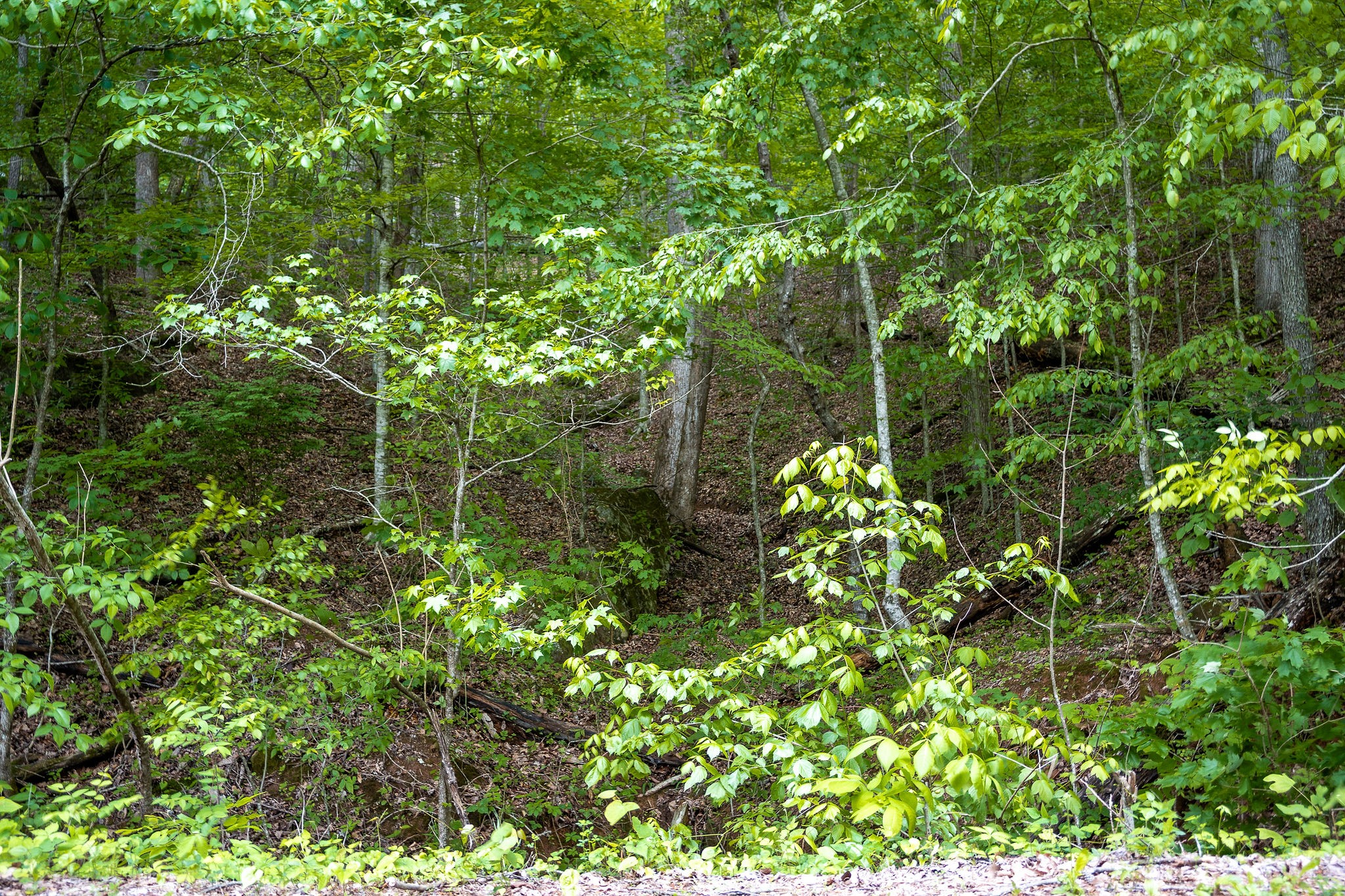 0 Old Highway 28, S