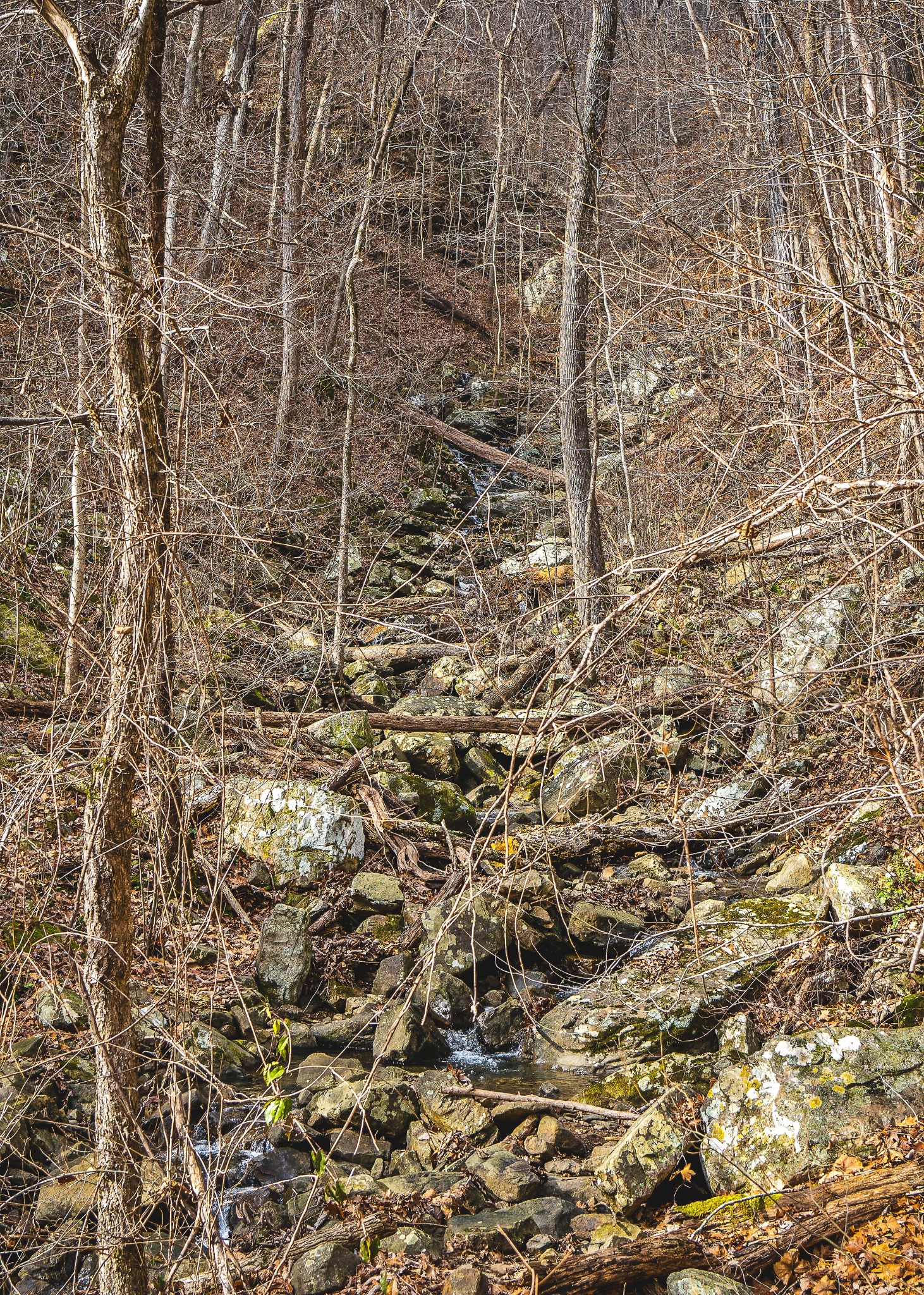 0 Old Highway 28, S