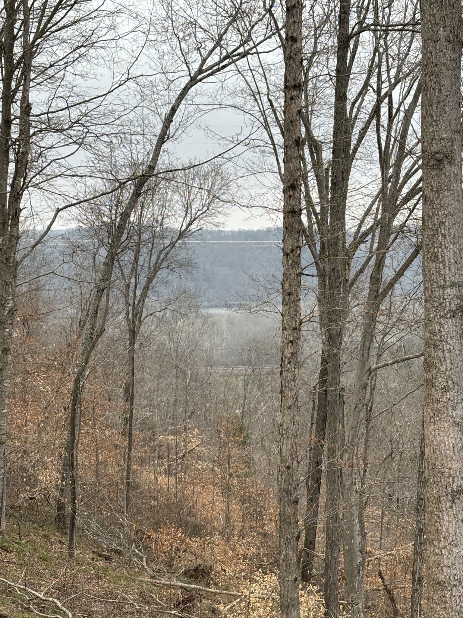 1180 Wiley Pardue Rd