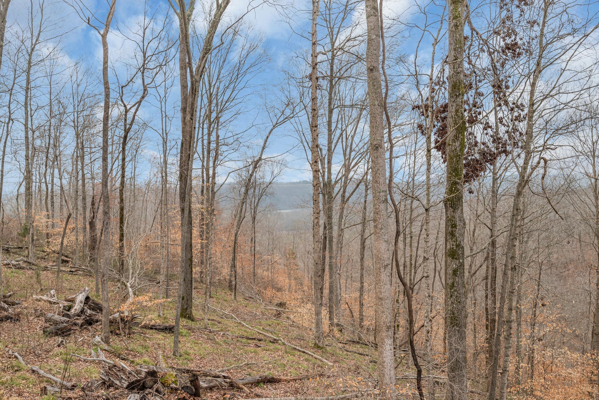 1180 Wiley Pardue Rd