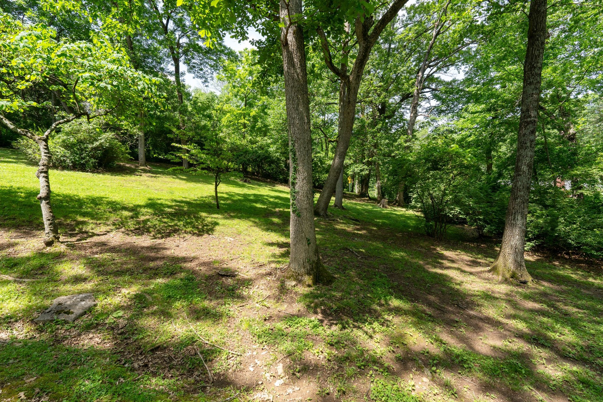 814 Willowdale Ct