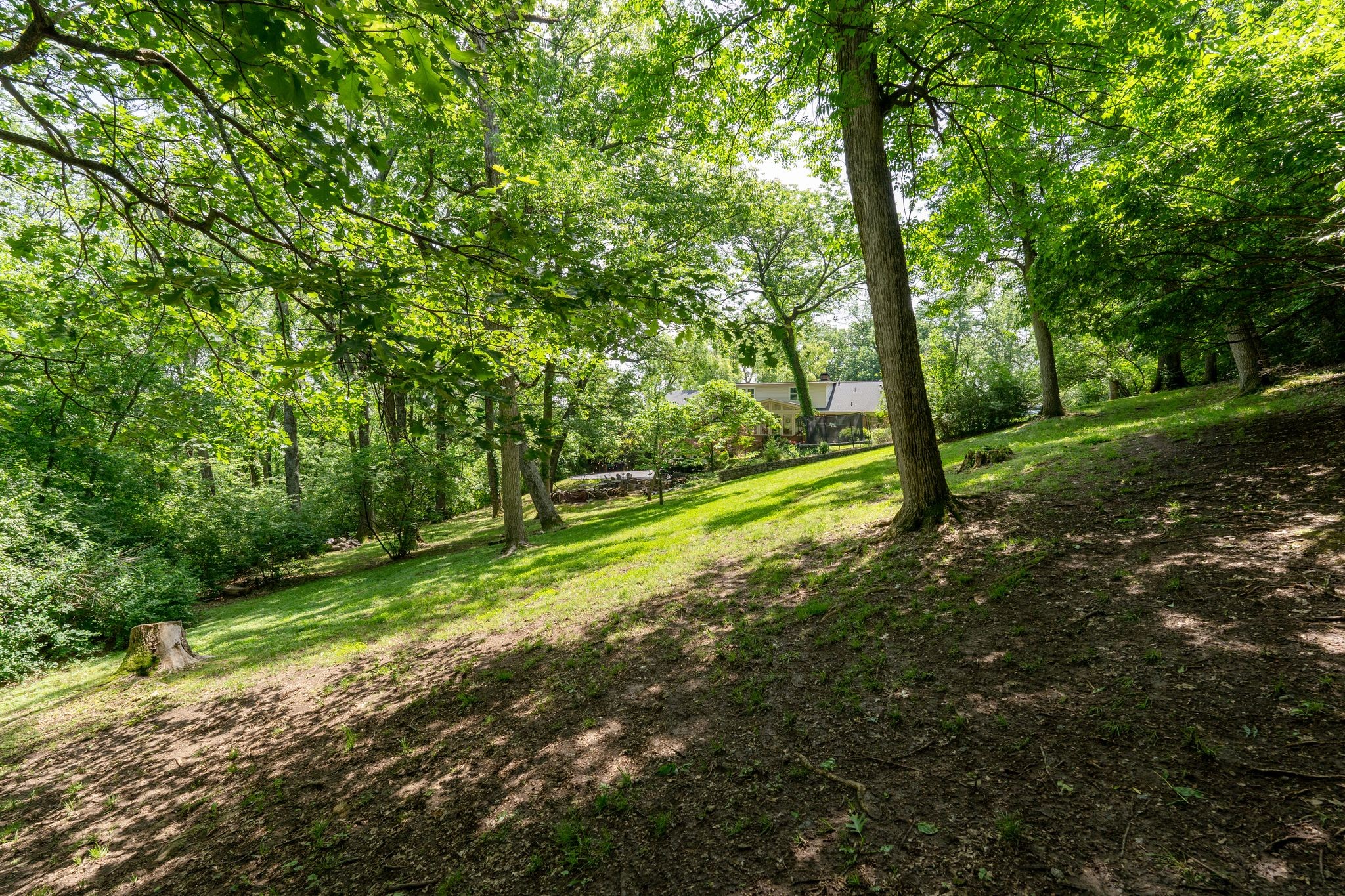 814 Willowdale Ct