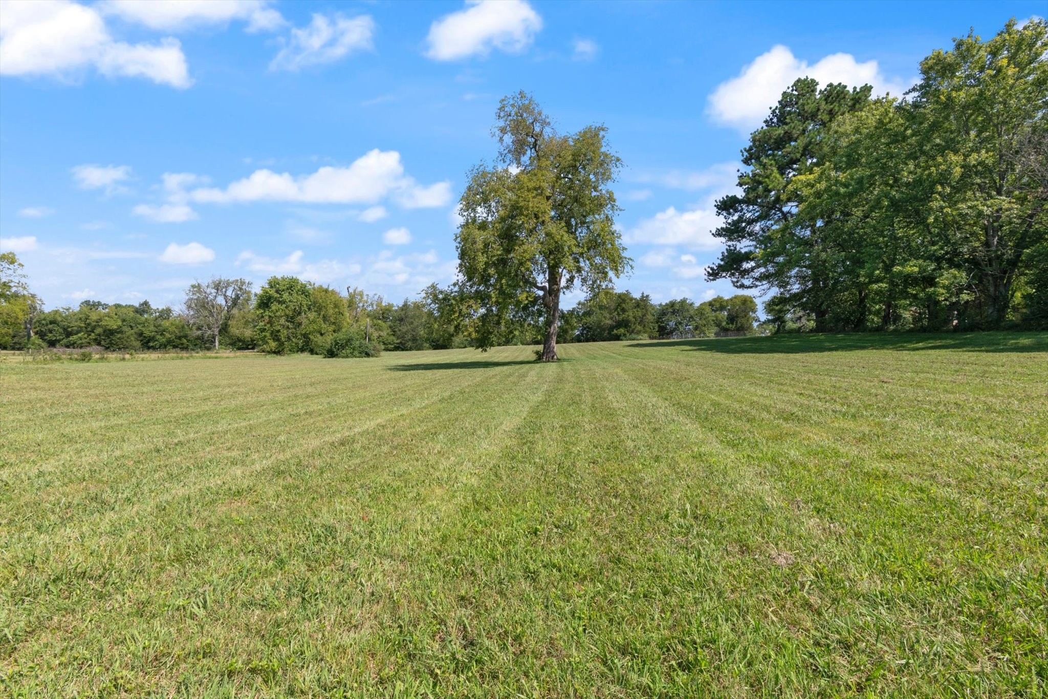 0 Midland Fosterville Rd
