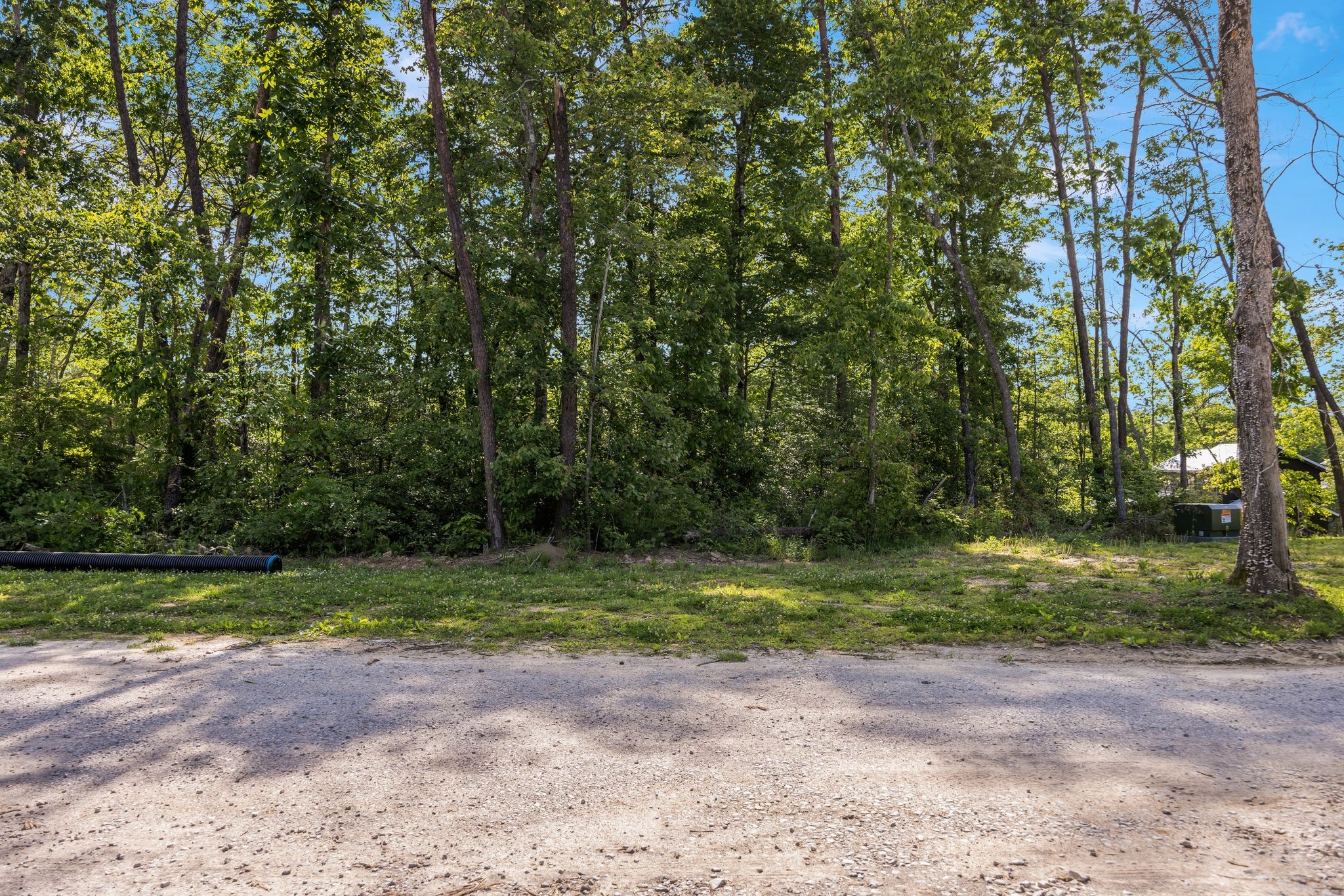 113 Hemlock Cove
