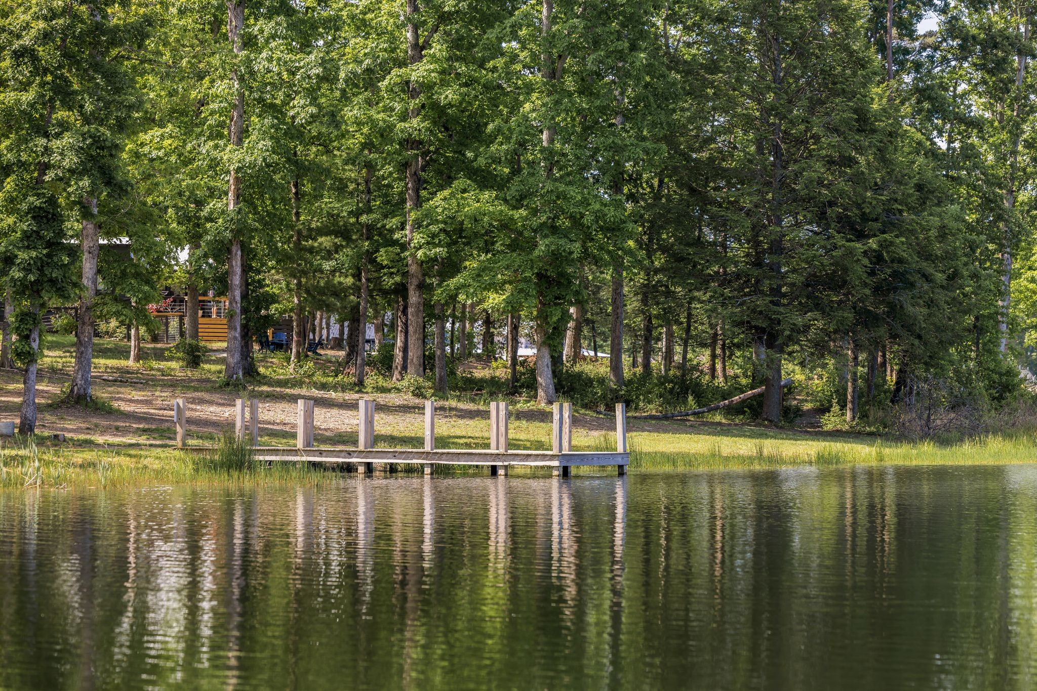 113 Hemlock Cove