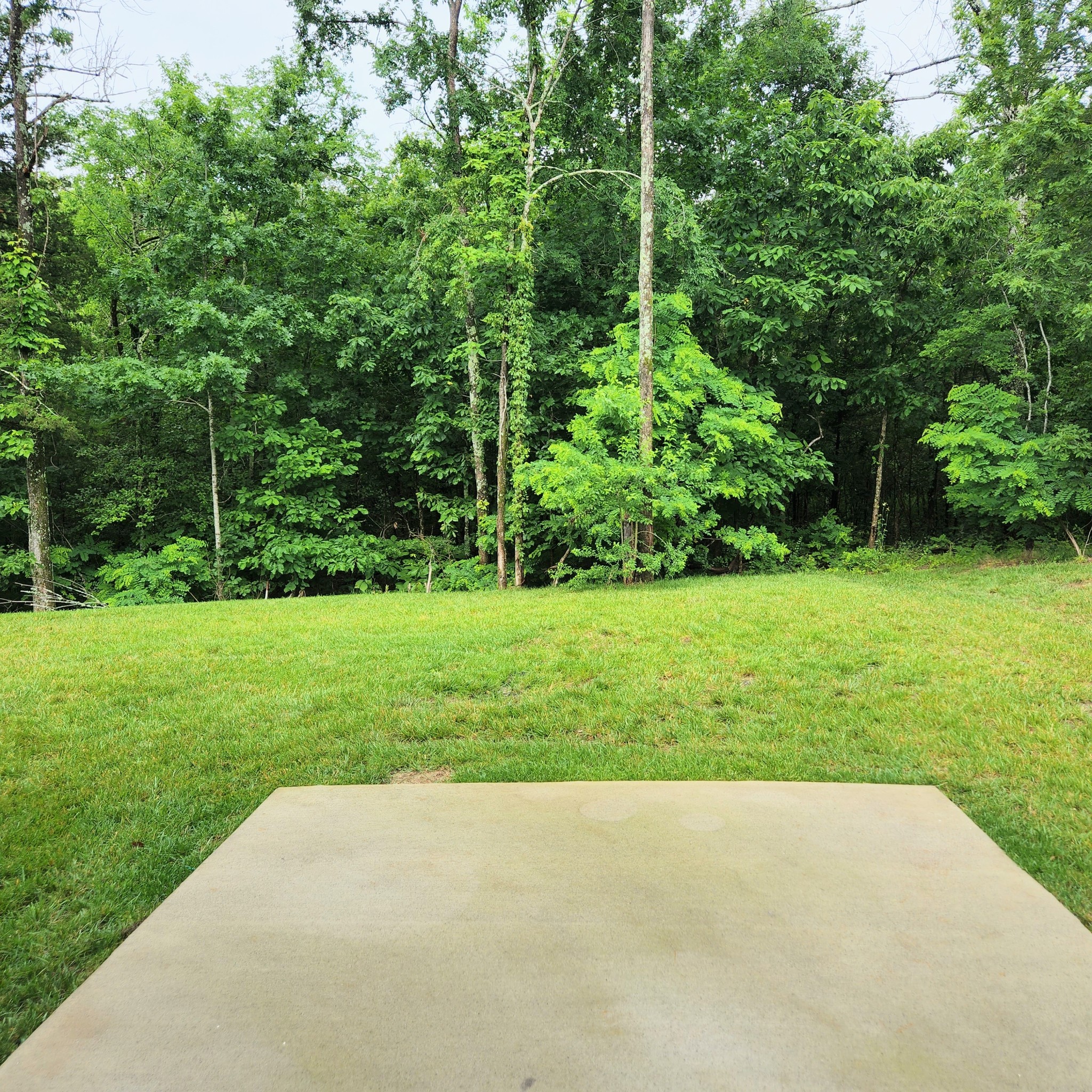 6532 Wilford Ct
