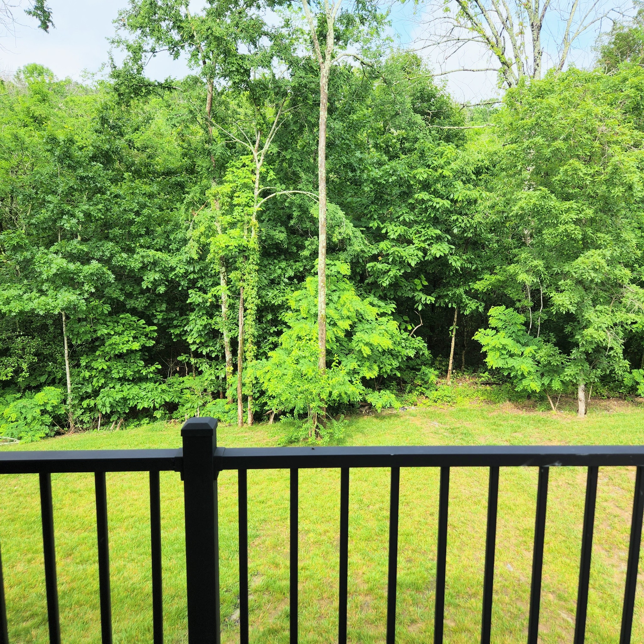 6532 Wilford Ct