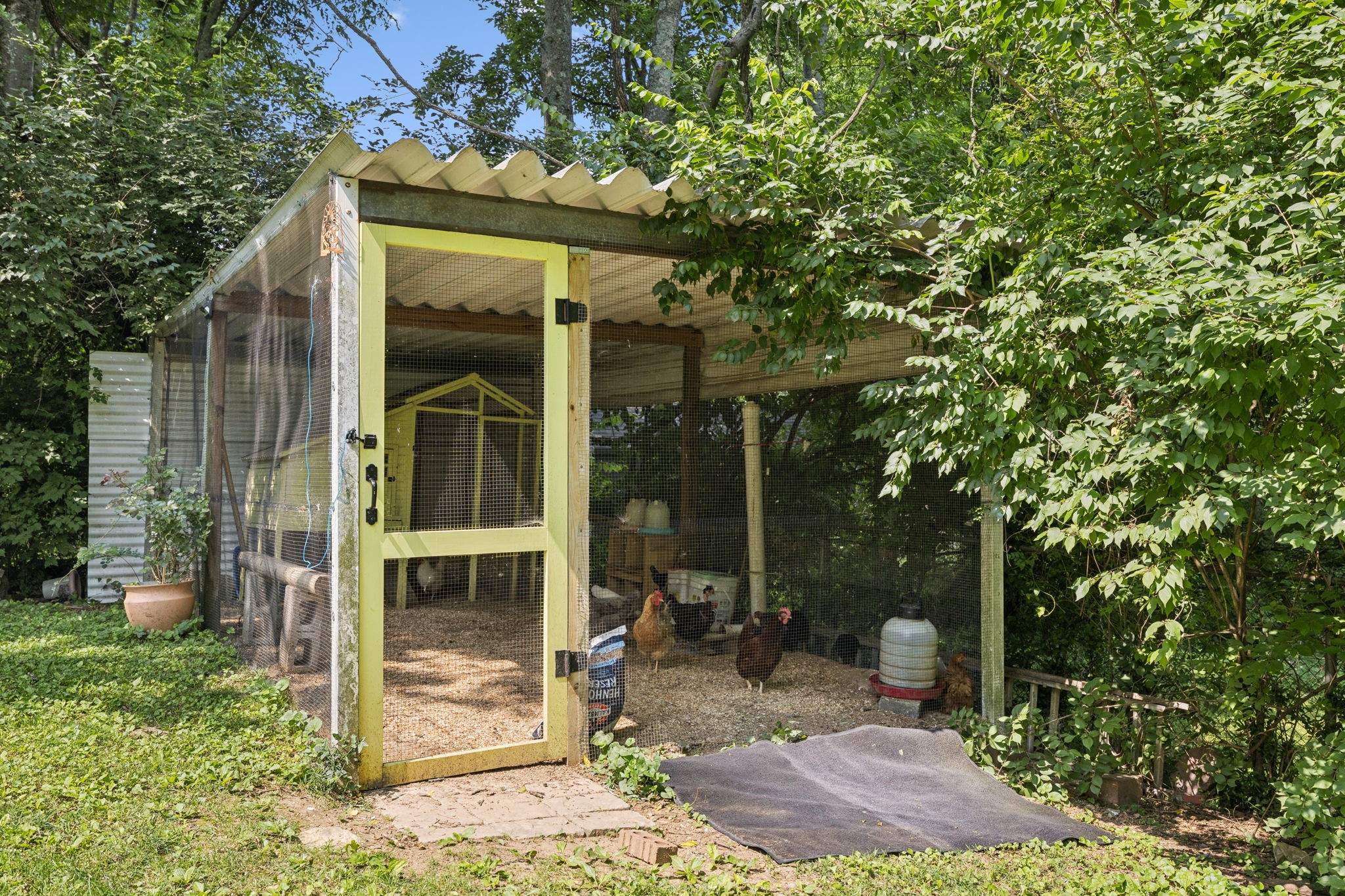 116 Robinhood Cir