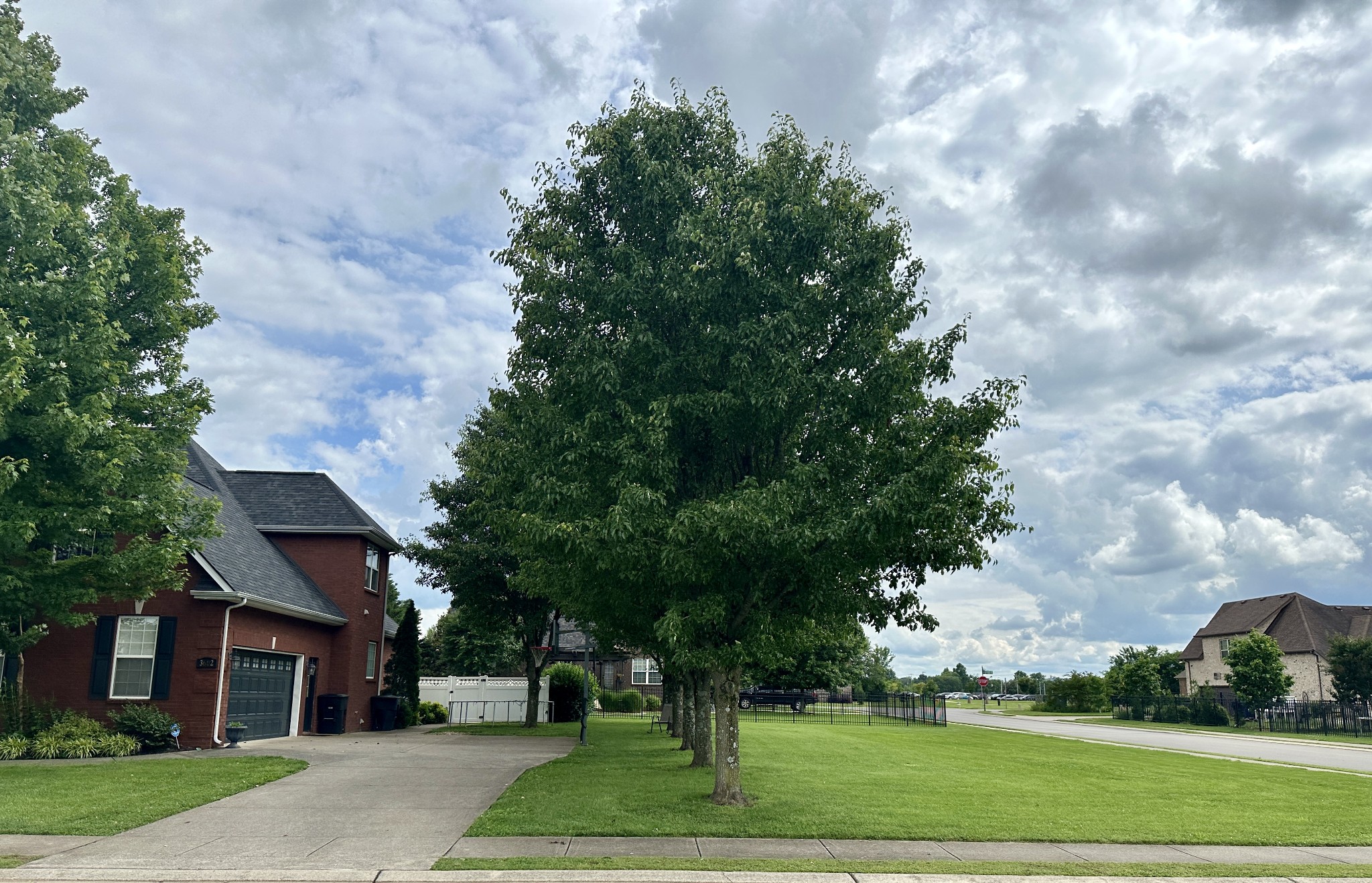 3602 Geneva Drive