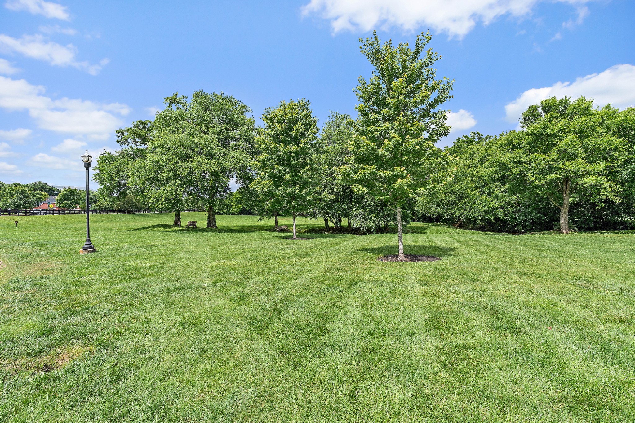 503 Hollyhock Way