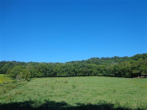 4500 Harpeth School Rd