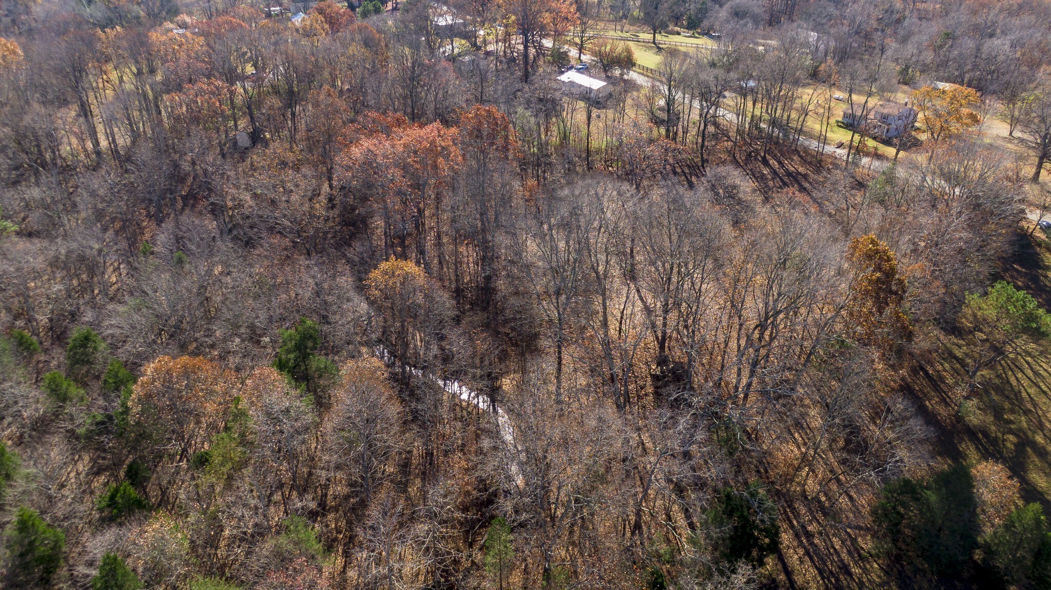 7368 Overbey Rd