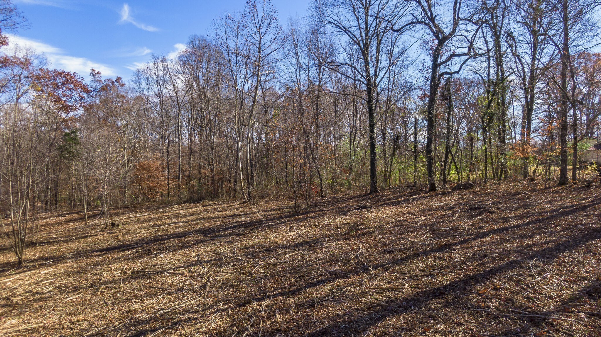 7368 Overbey Rd