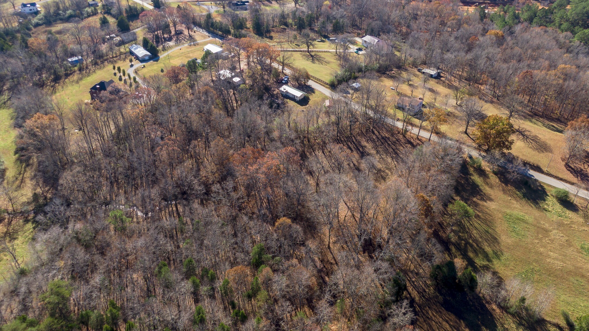 7368 Overbey Rd