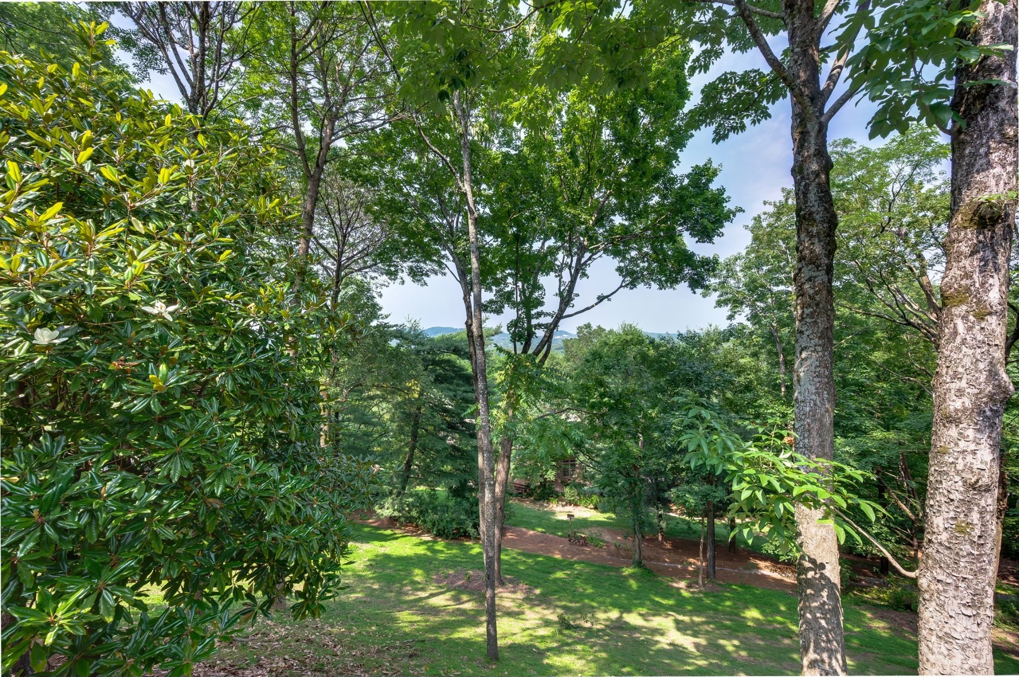 1002 Cadbury Ct