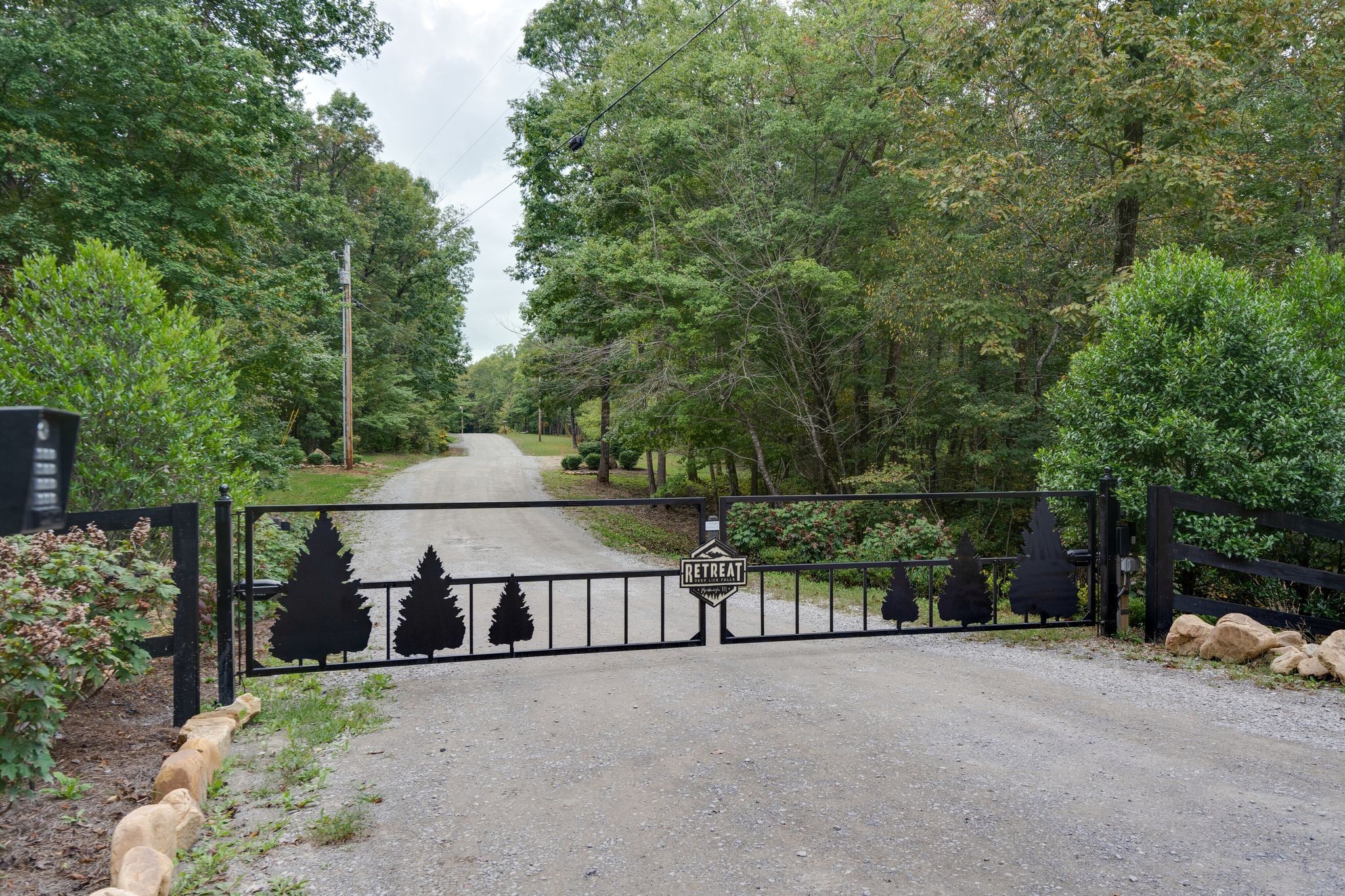 484 Deer Lick Trail