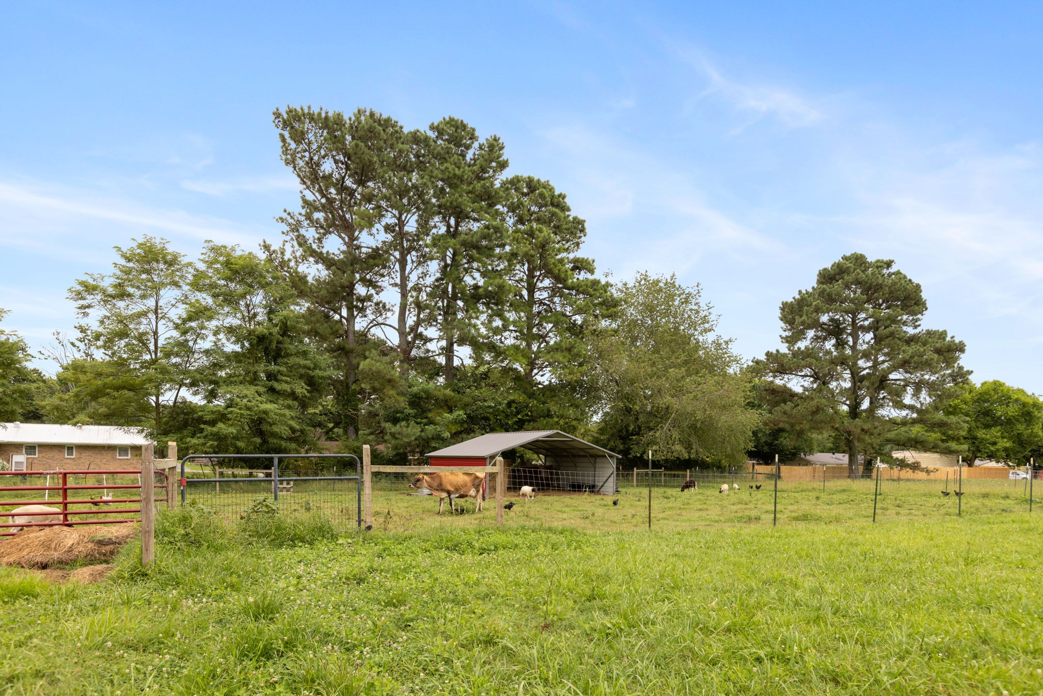 2653 Blanton Chapel Rd