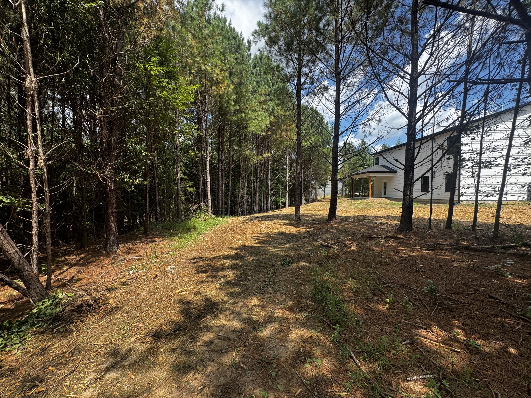 537 Shelton Road