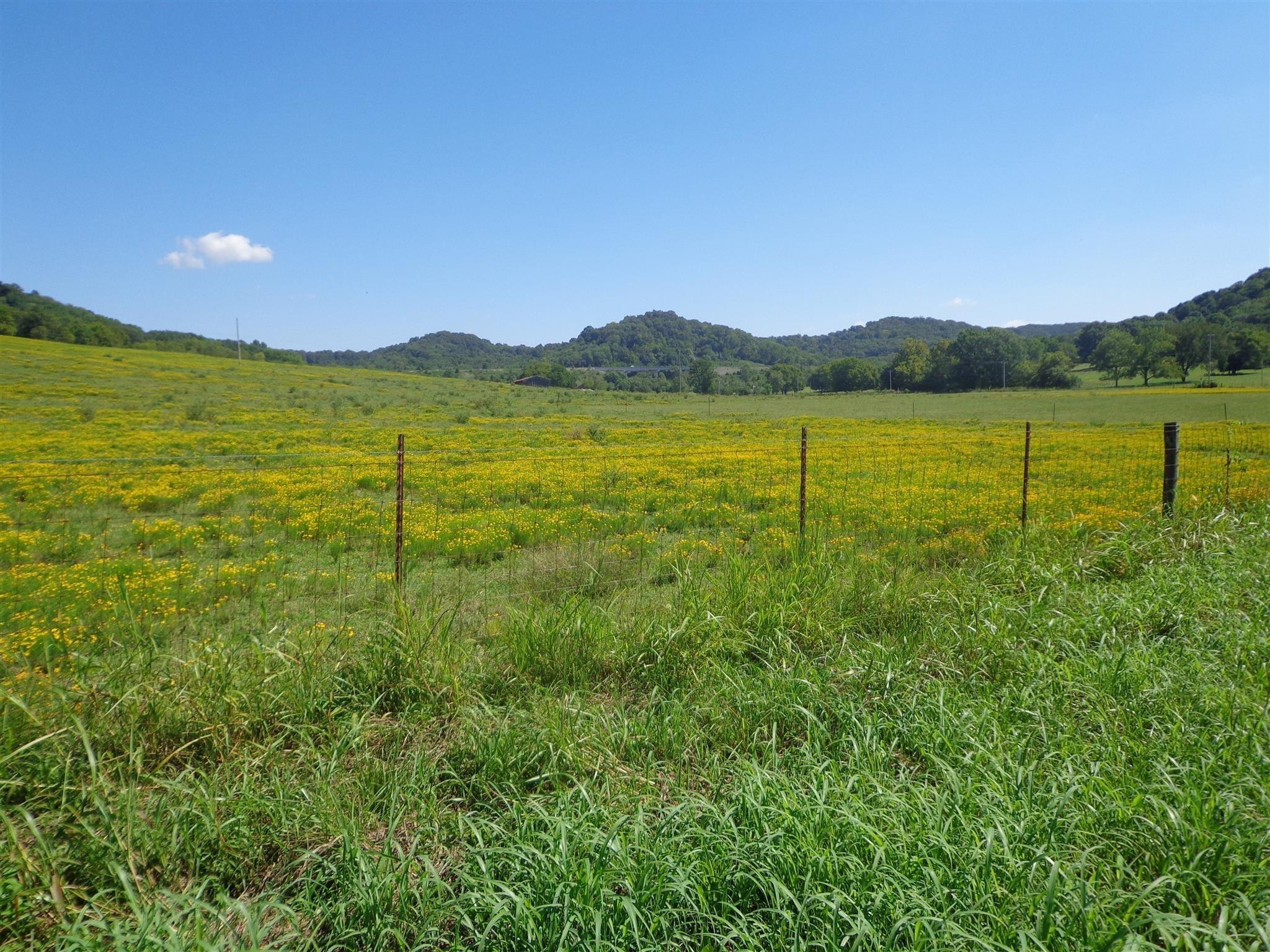 4520 Harpeth School Rd