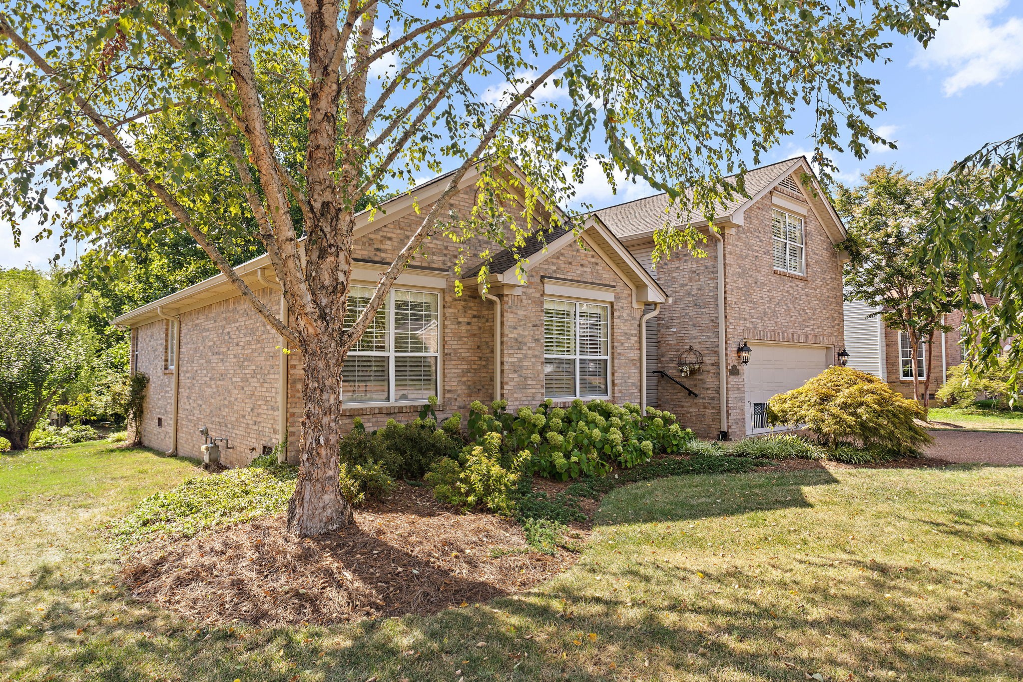 7913 Boone Trce