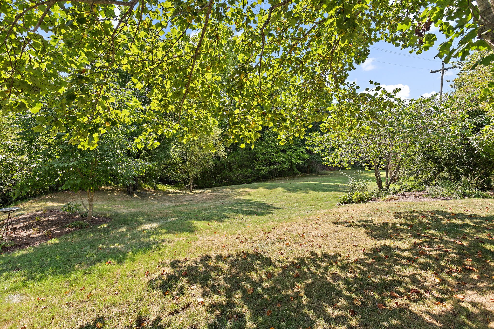 7913 Boone Trce