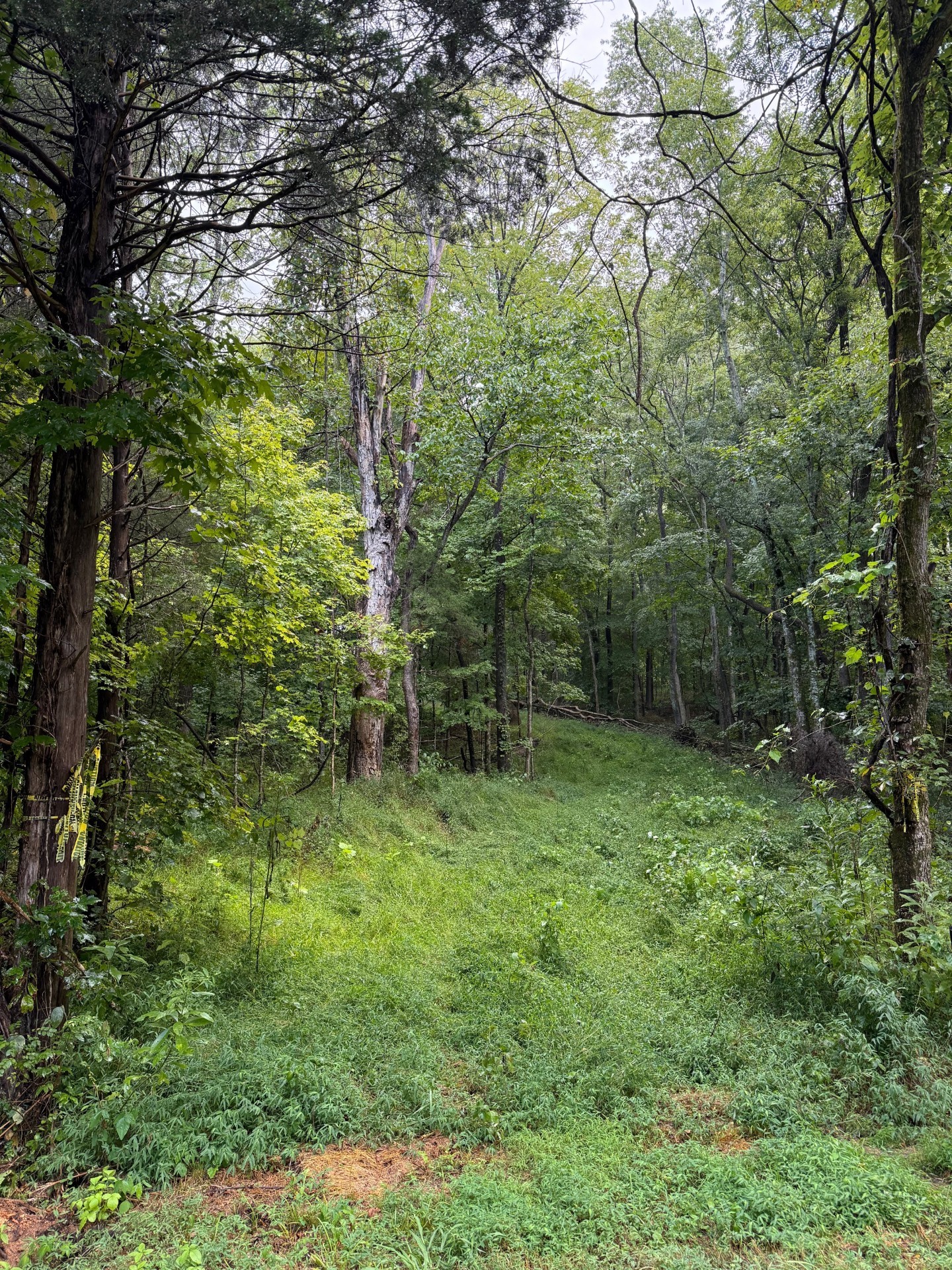 0 Shelter Branch Rd