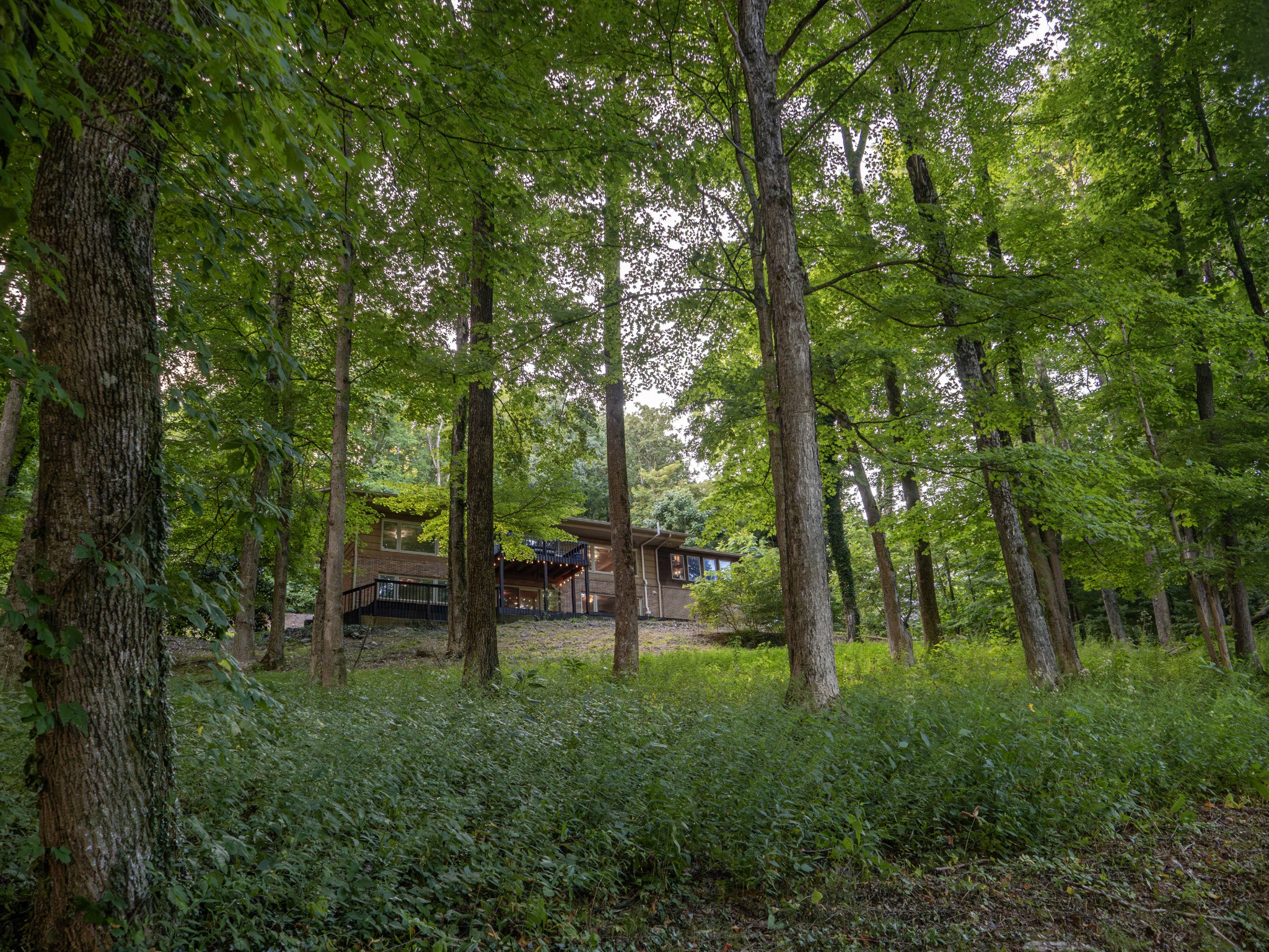 125 Dogwood Dr