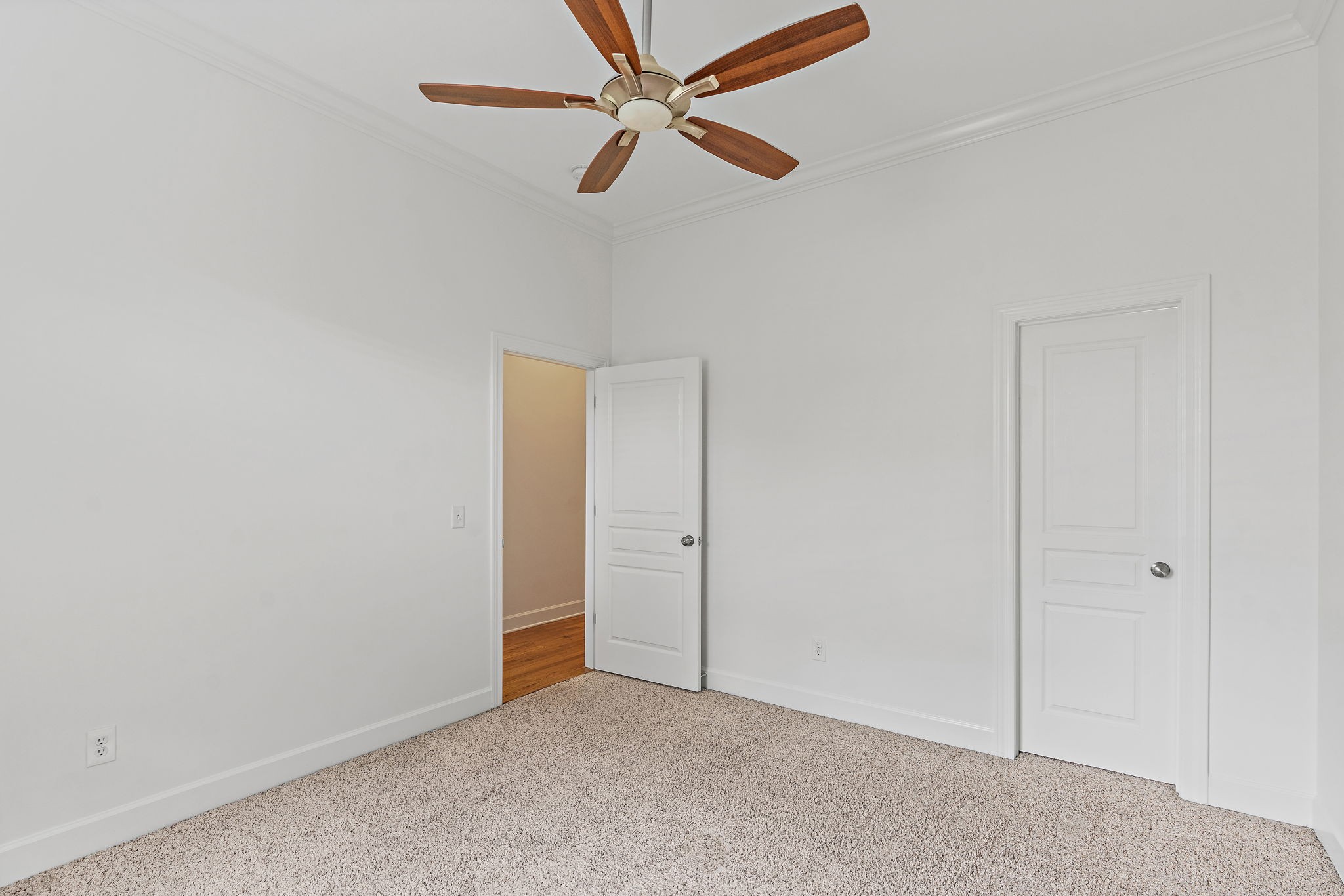 221 Treutland Ave