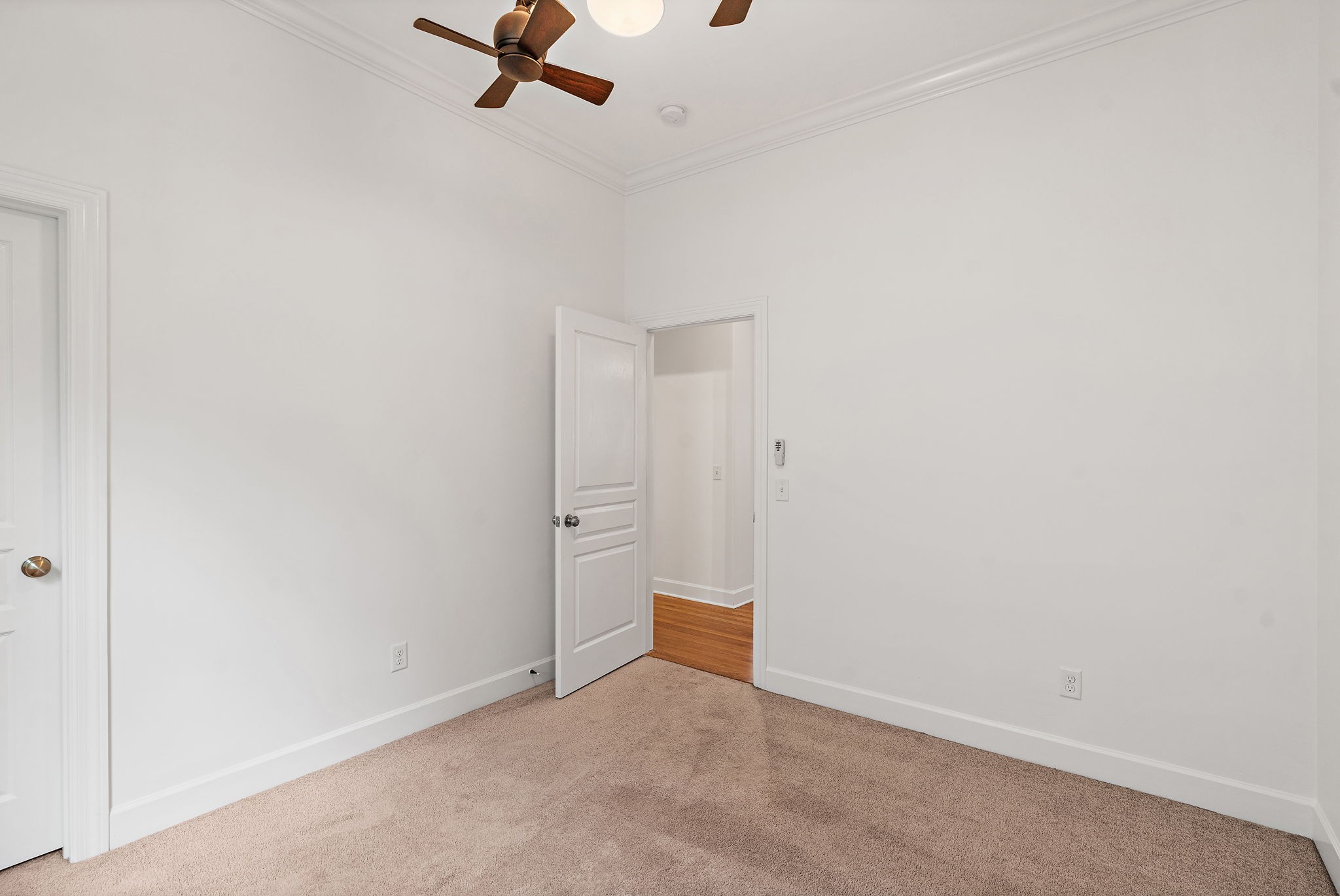 221 Treutland Ave