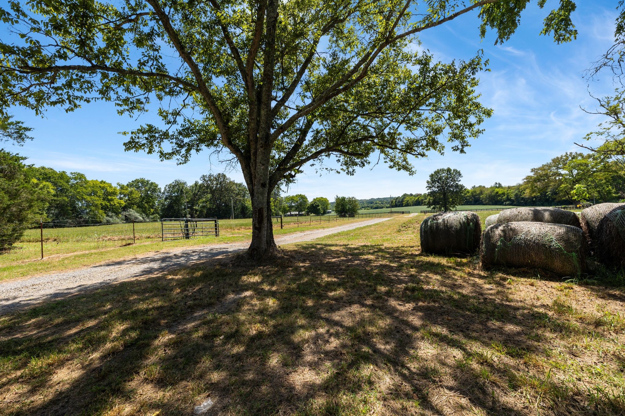 8362 Patterson Rd