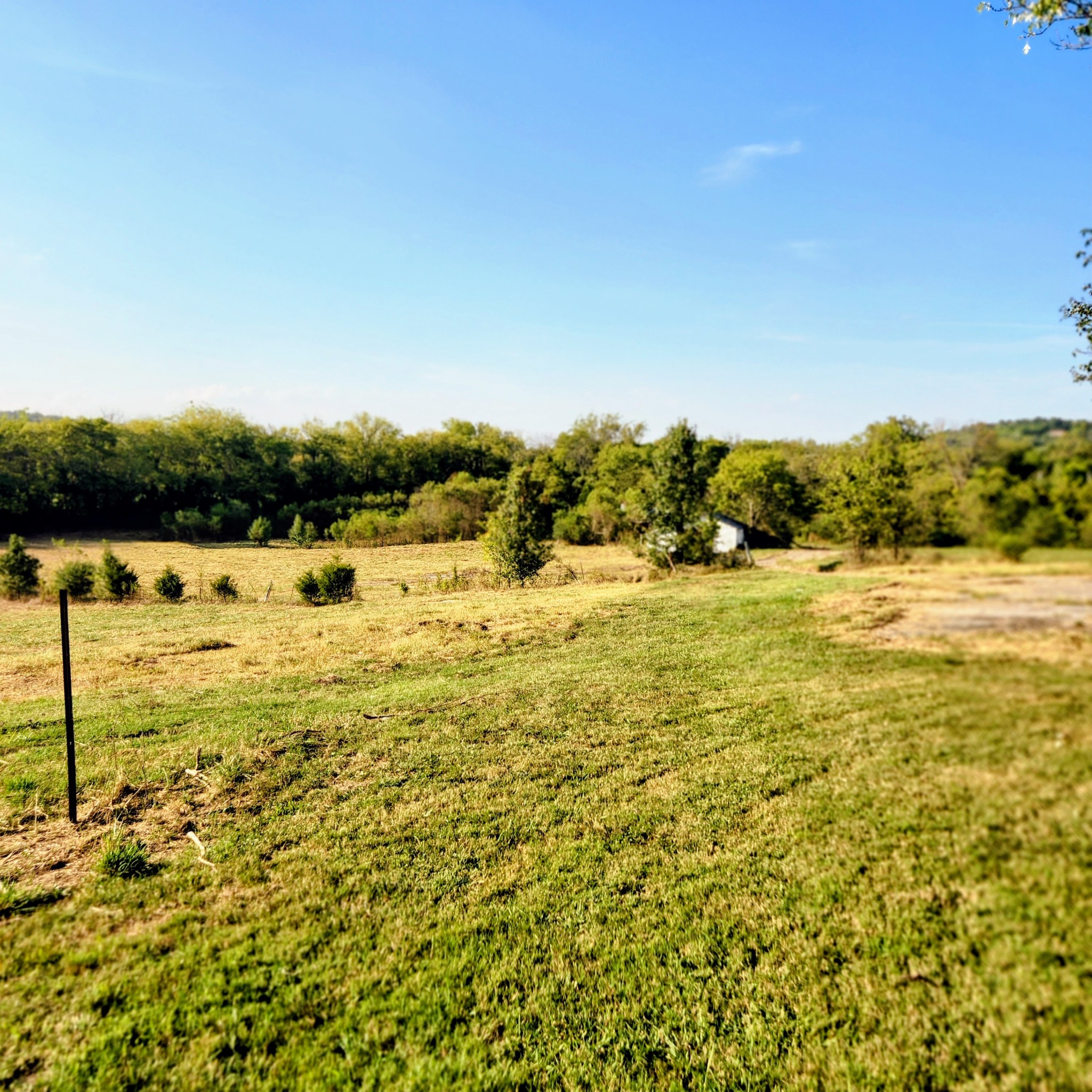 240 Neal Rd