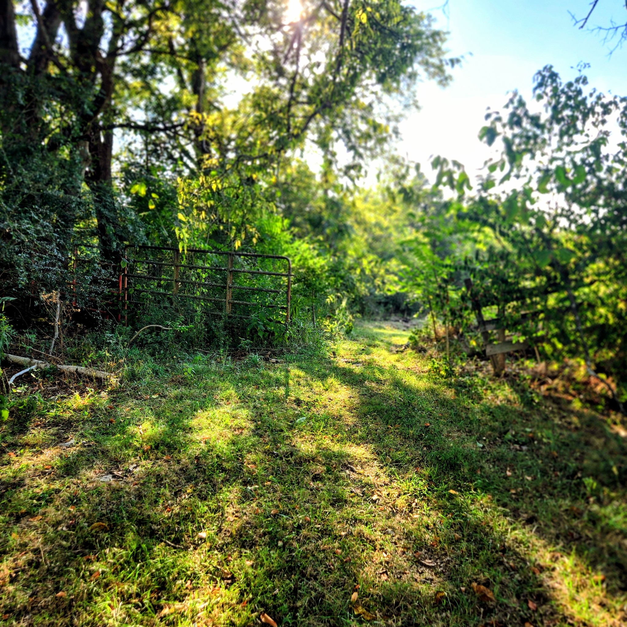 240 Neal Rd