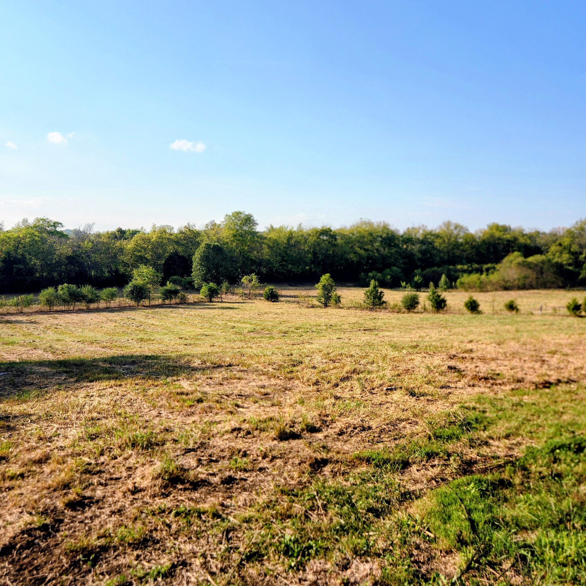 240 Neal Rd