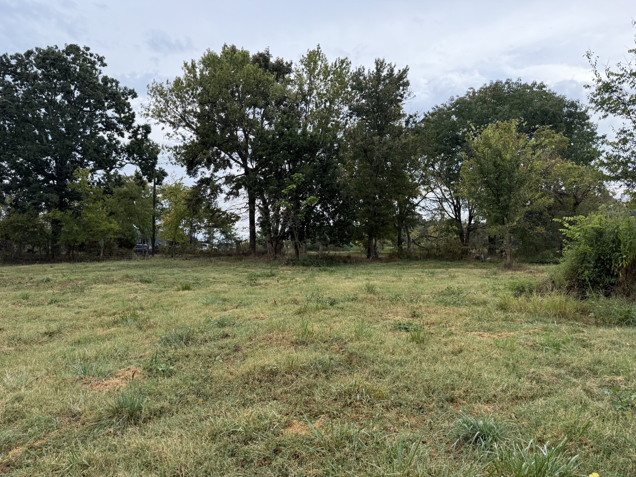 235 Doug Williams Rd