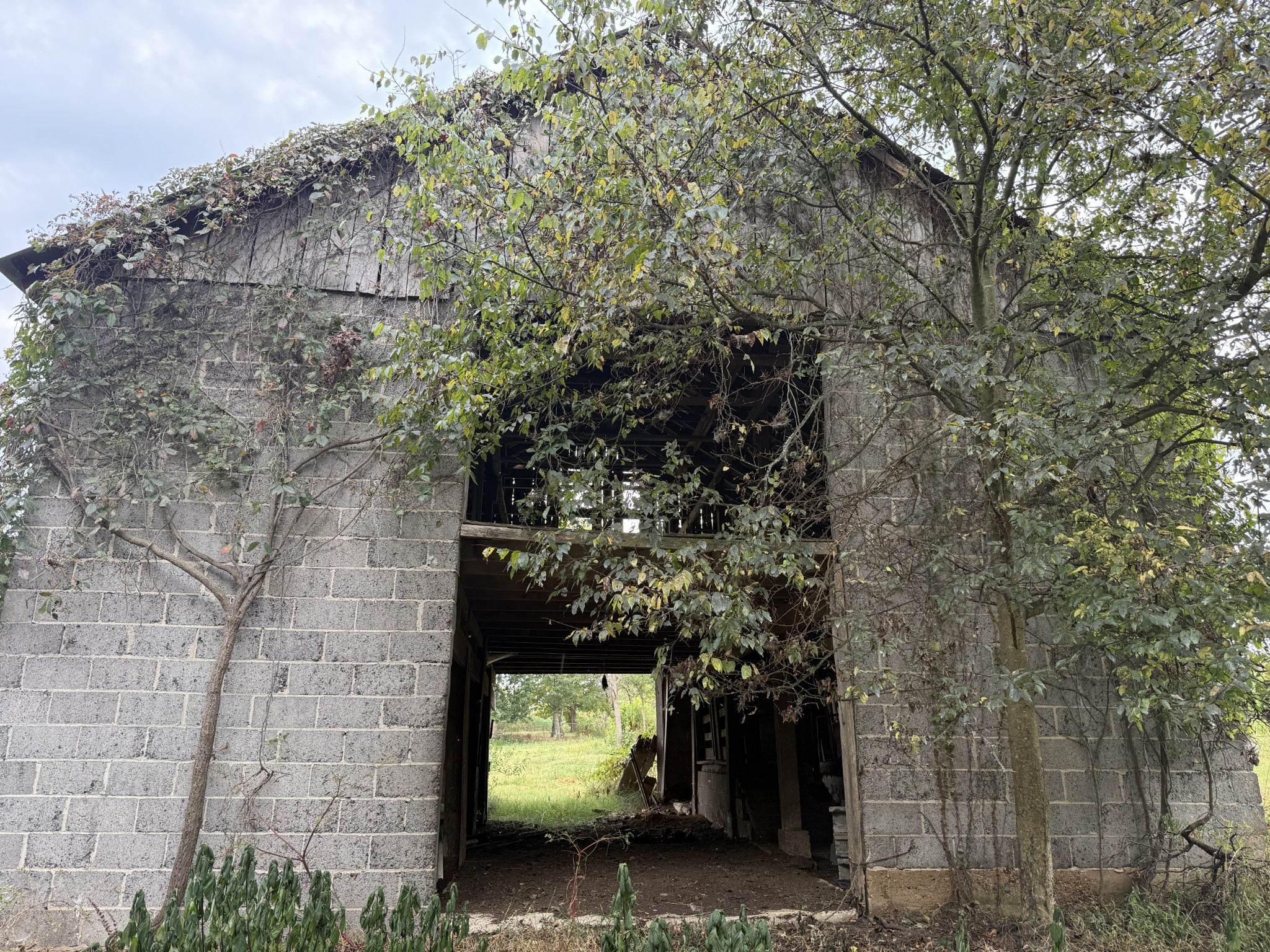 235 Doug Williams Rd