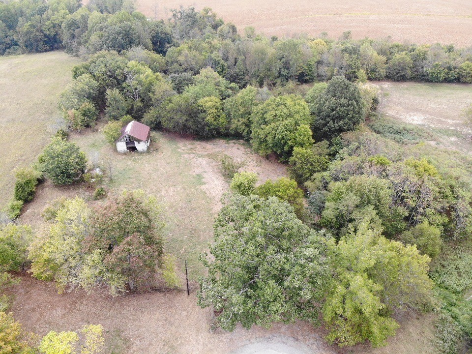 235 Doug Williams Rd