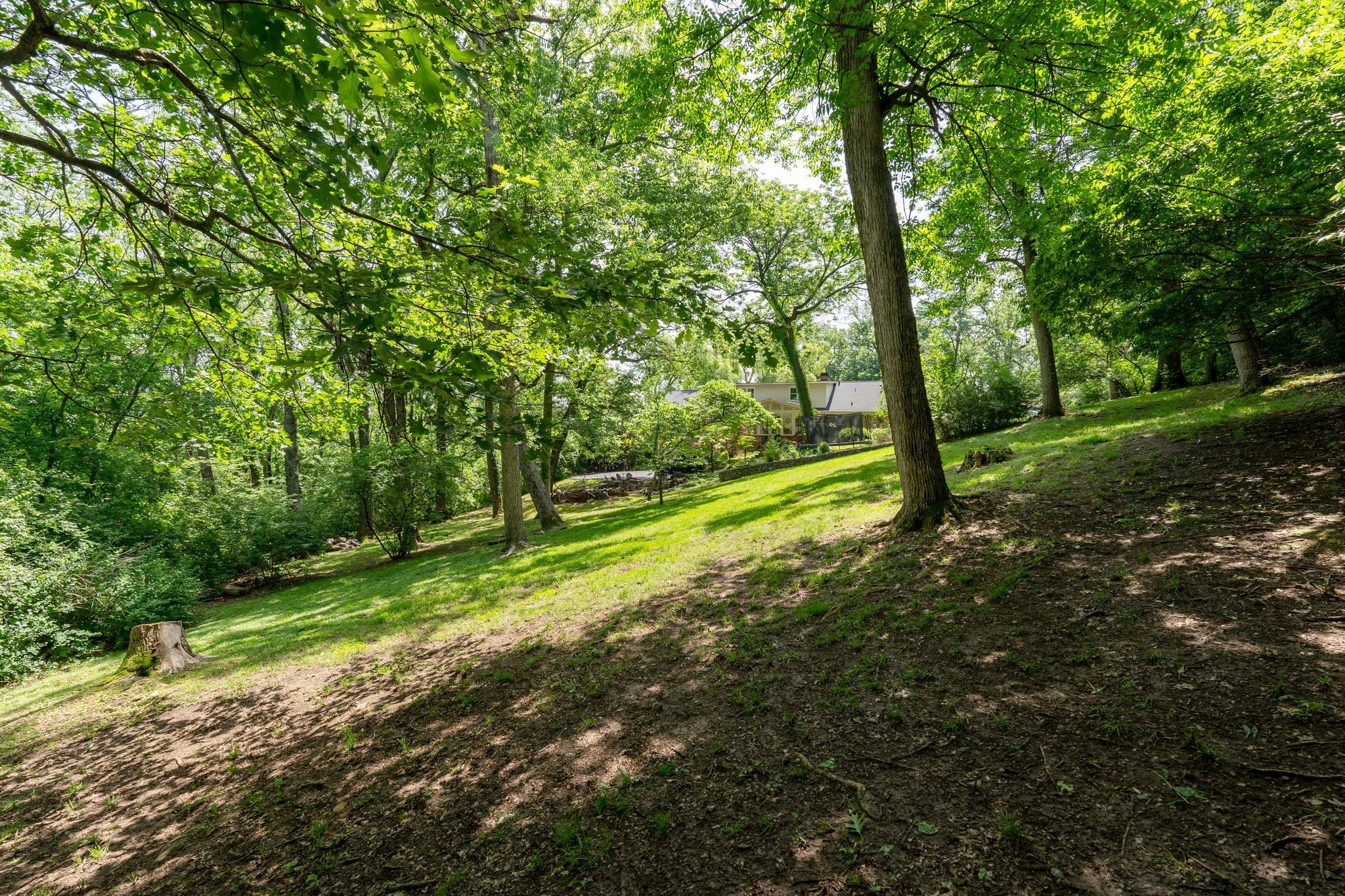 814 Willowdale Ct