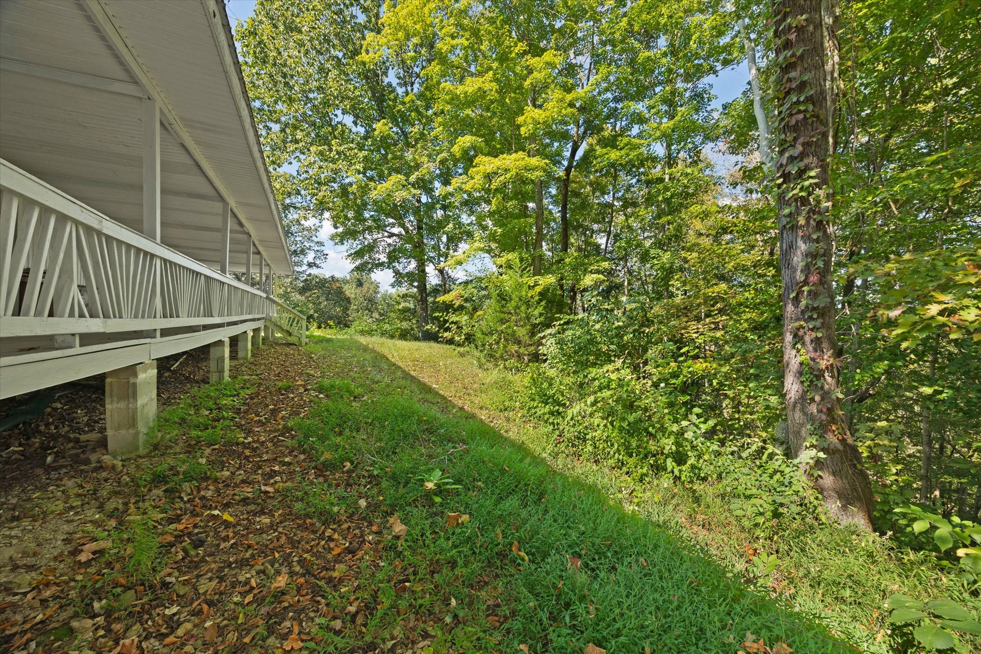 428 James White Rd